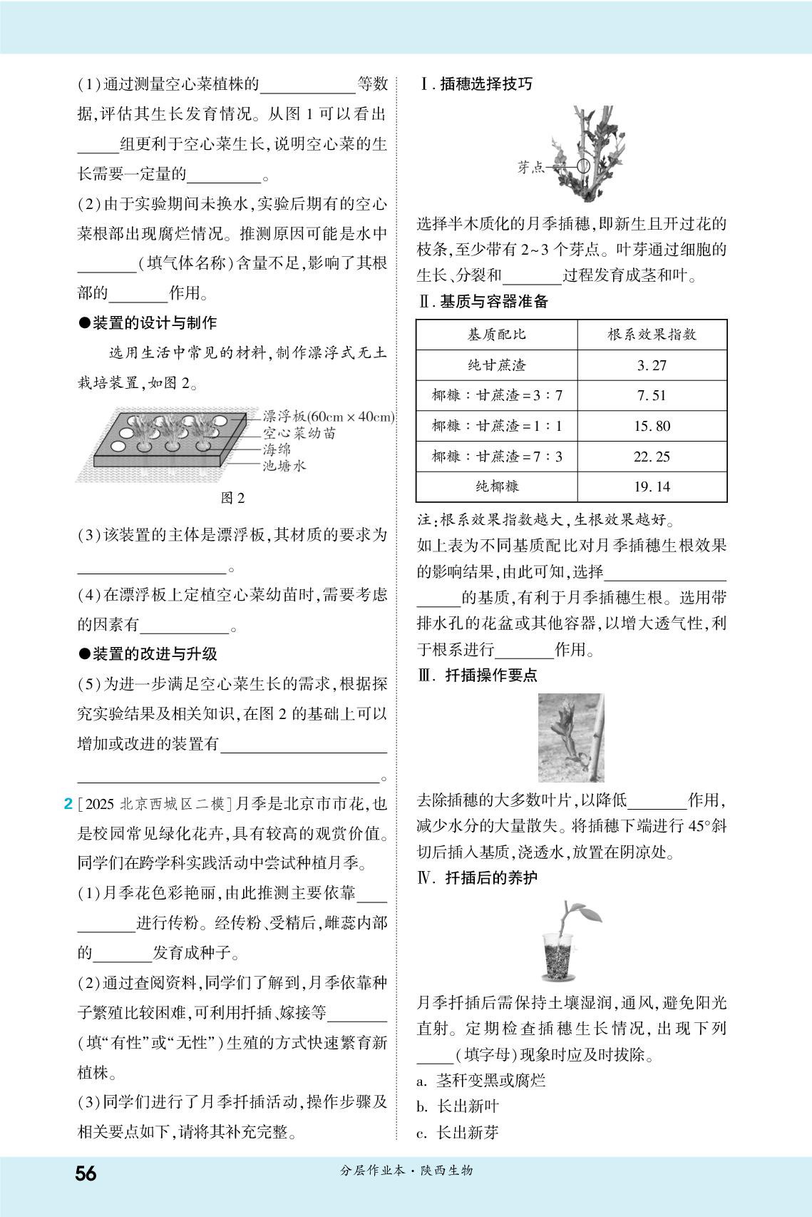 (1)跨学科实践-【一战成名新中考】2026陕西中考生物·一轮复习·分层作业本（练册）