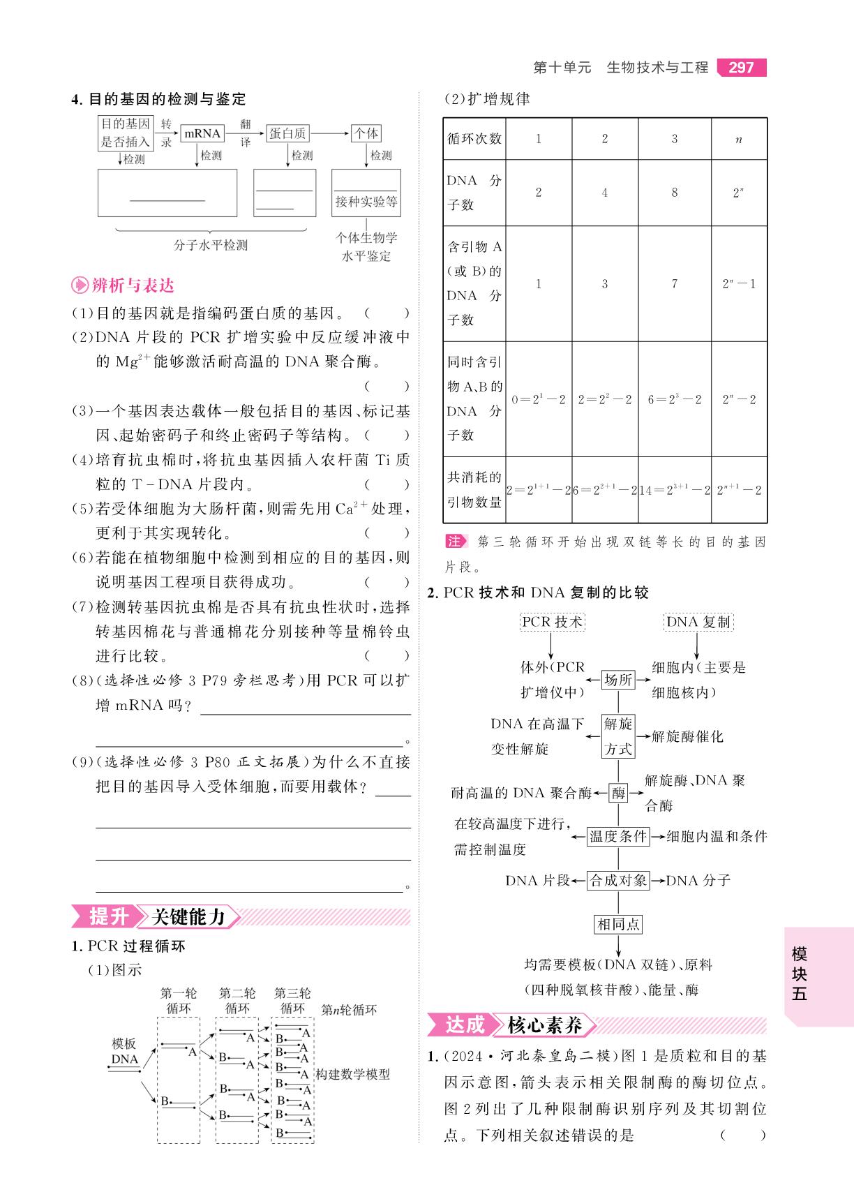 第55课时 基因工程的基本工具和基本操作程序-【红对勾讲与练·讲义】2026年高考生物大一轮复习全新方案基础版(单选版)
