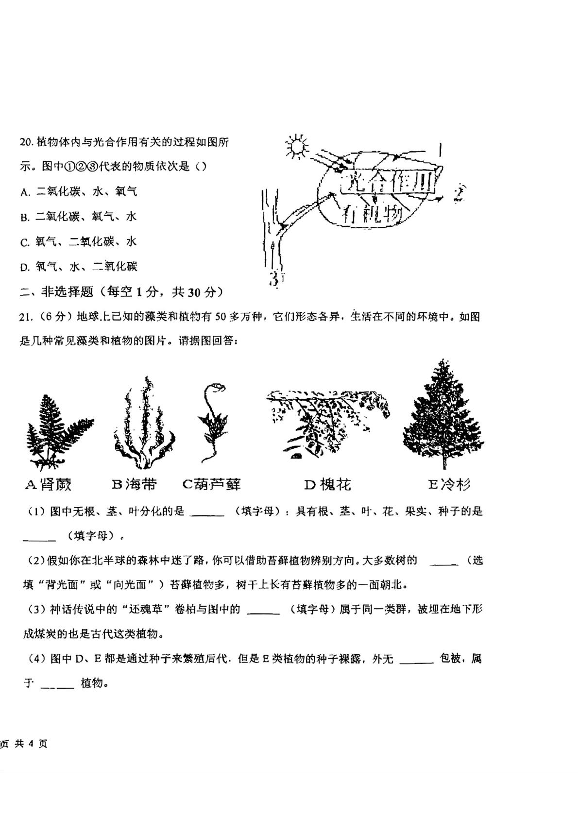 吉林省长春市朝阳区长春外国语学校2025-2026学年七年级上学期1月期末生物试题