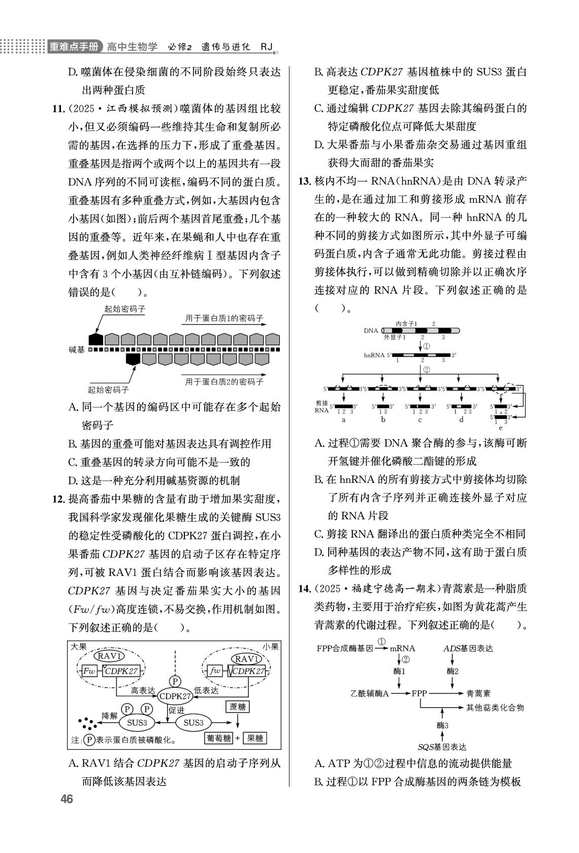 第4章 基因的表达单元学能测评-【重难点手册】2025-2026学年高中生物必修第二册同步练习册（人教版）