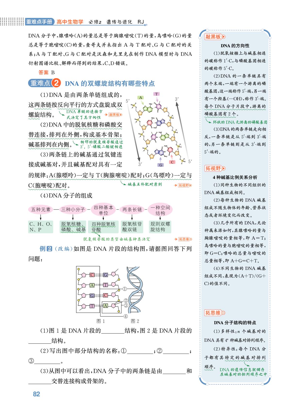 3.2 DNA的结构-【重难点手册】2025-2026学年高中生物必修第二册（人教版）