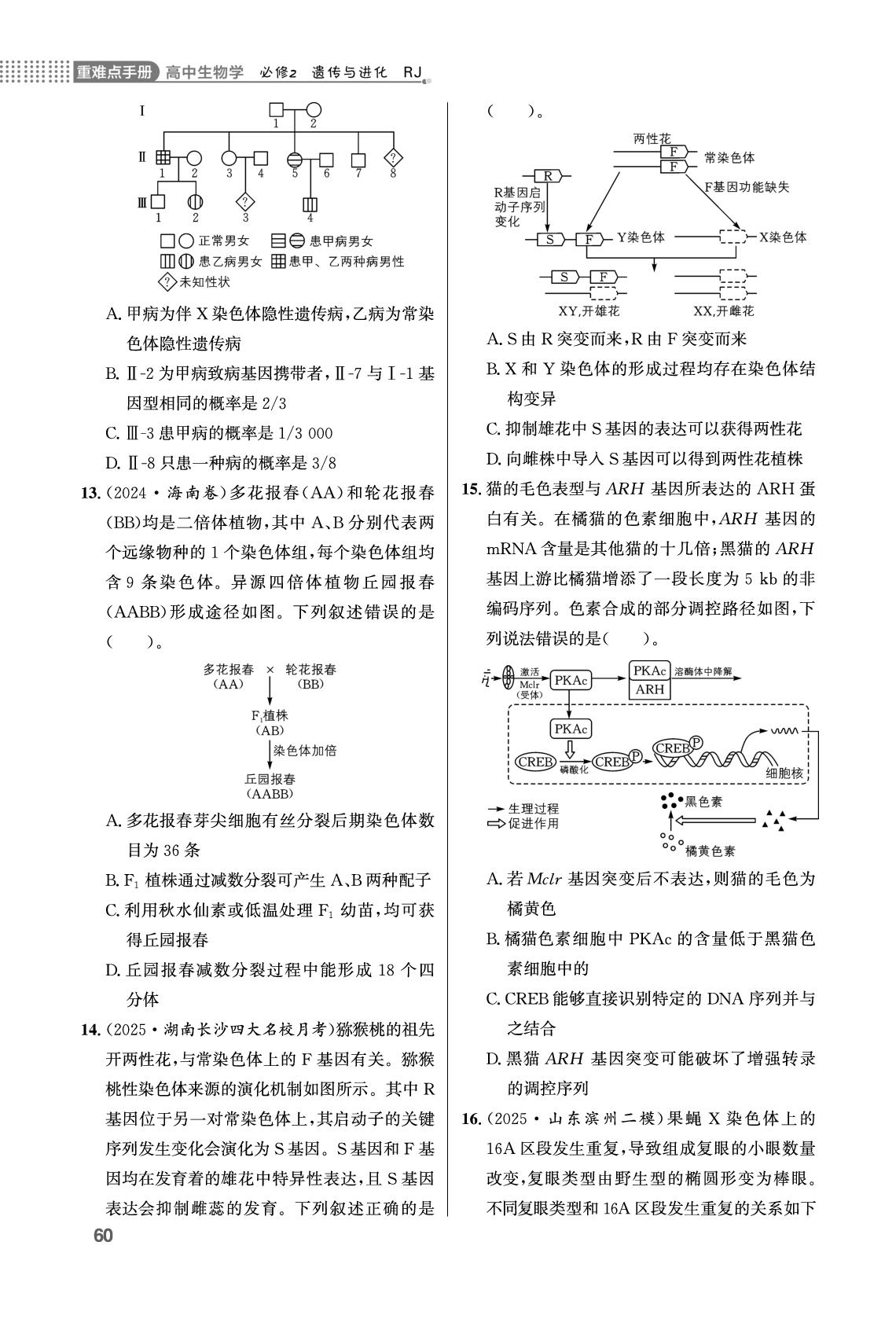 第5章 基因突变及其他变异单元学能测评-【重难点手册】2025-2026学年高中生物必修第二册同步练习册（人教版）