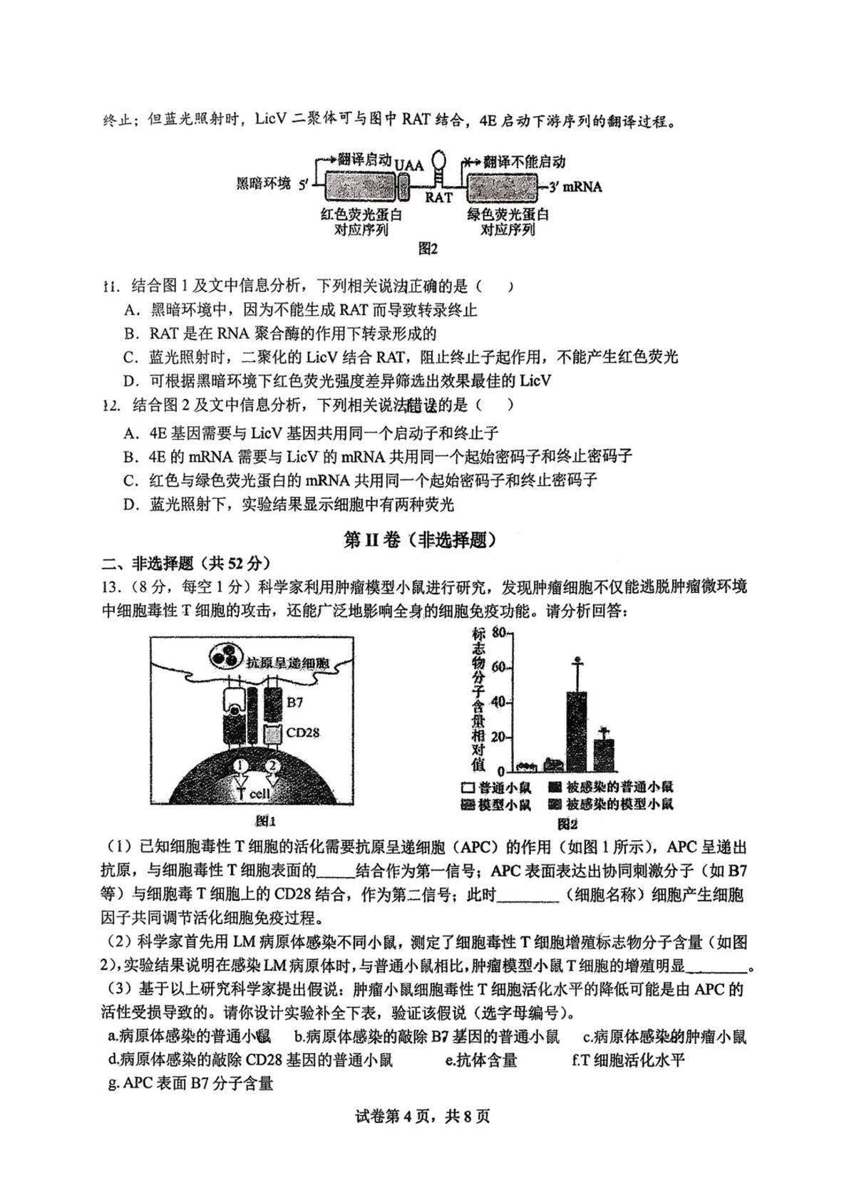 天津市南开中学2026届高三上学期第三次质量检测生物试卷