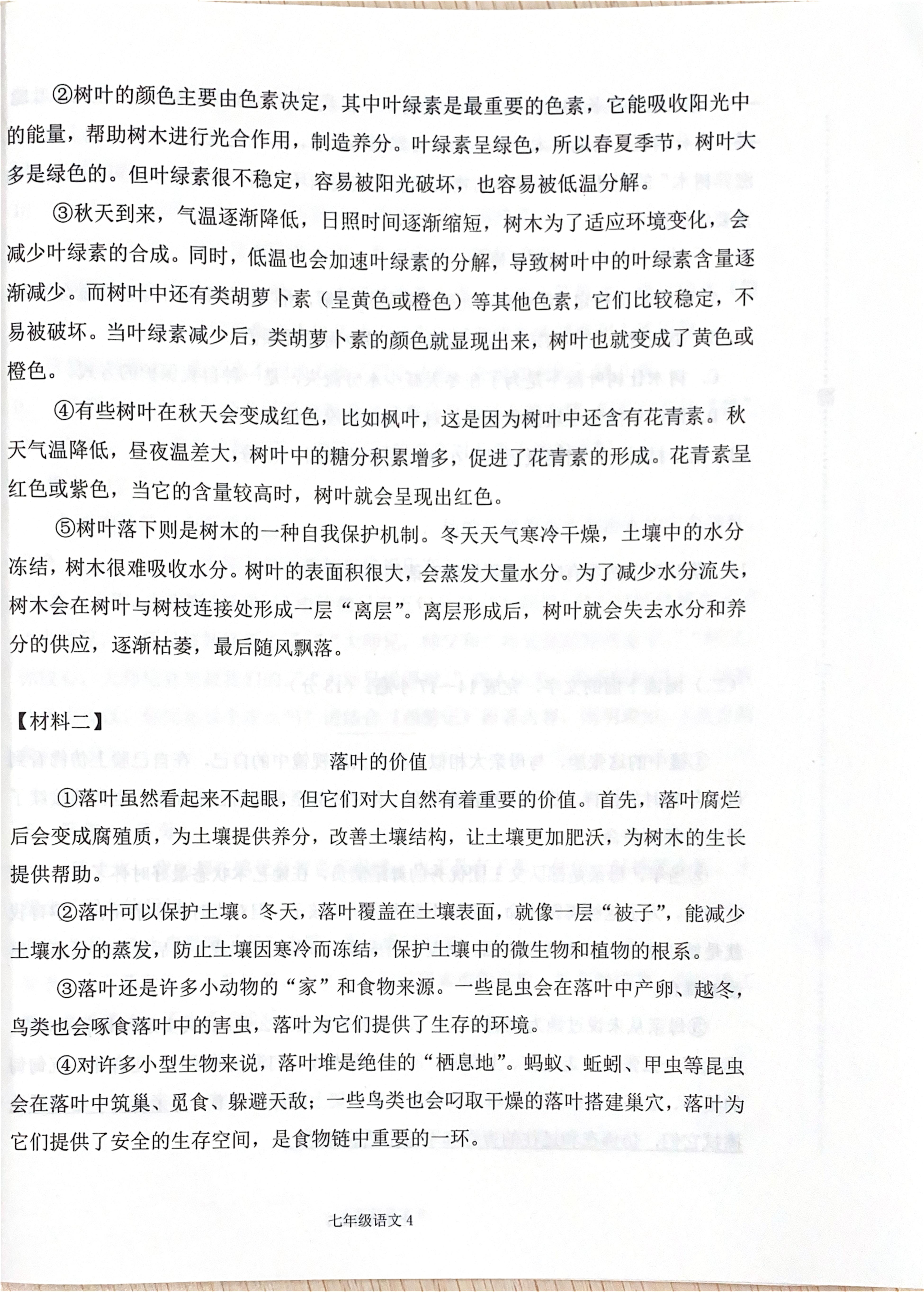 江西南昌县武阳中学2025—2026学年度第一学期期末检测七年级语文试题