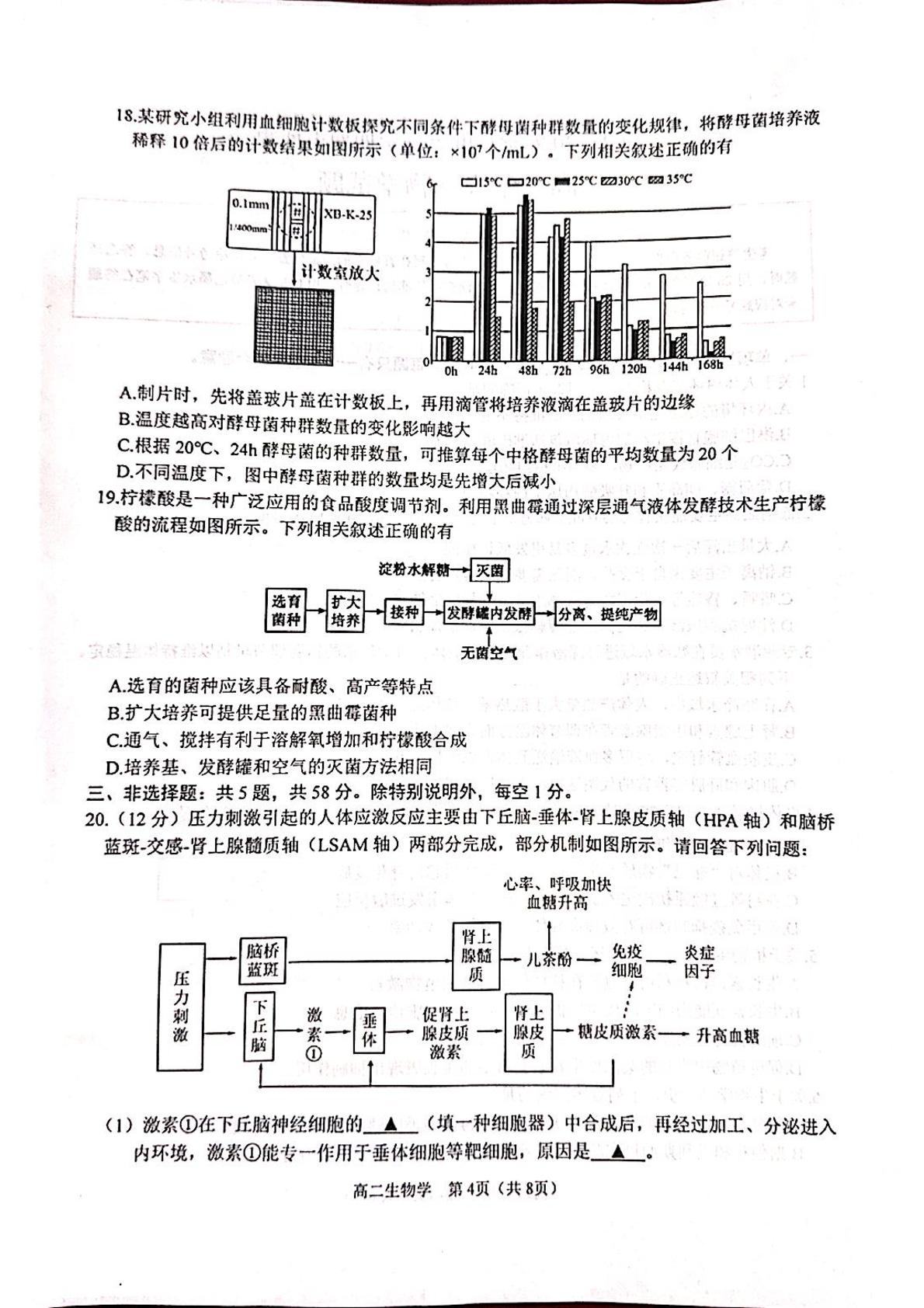 江苏省徐州市2025-2026学年高二上学期期末考试生物试题