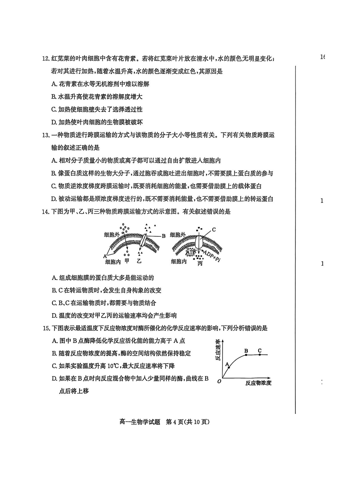 山东滕州市2025-2026学年高一上学期期末考试生物试题