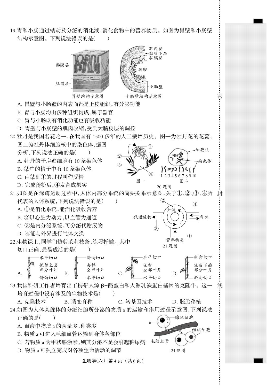2026年河北省中考生物模拟测试卷六