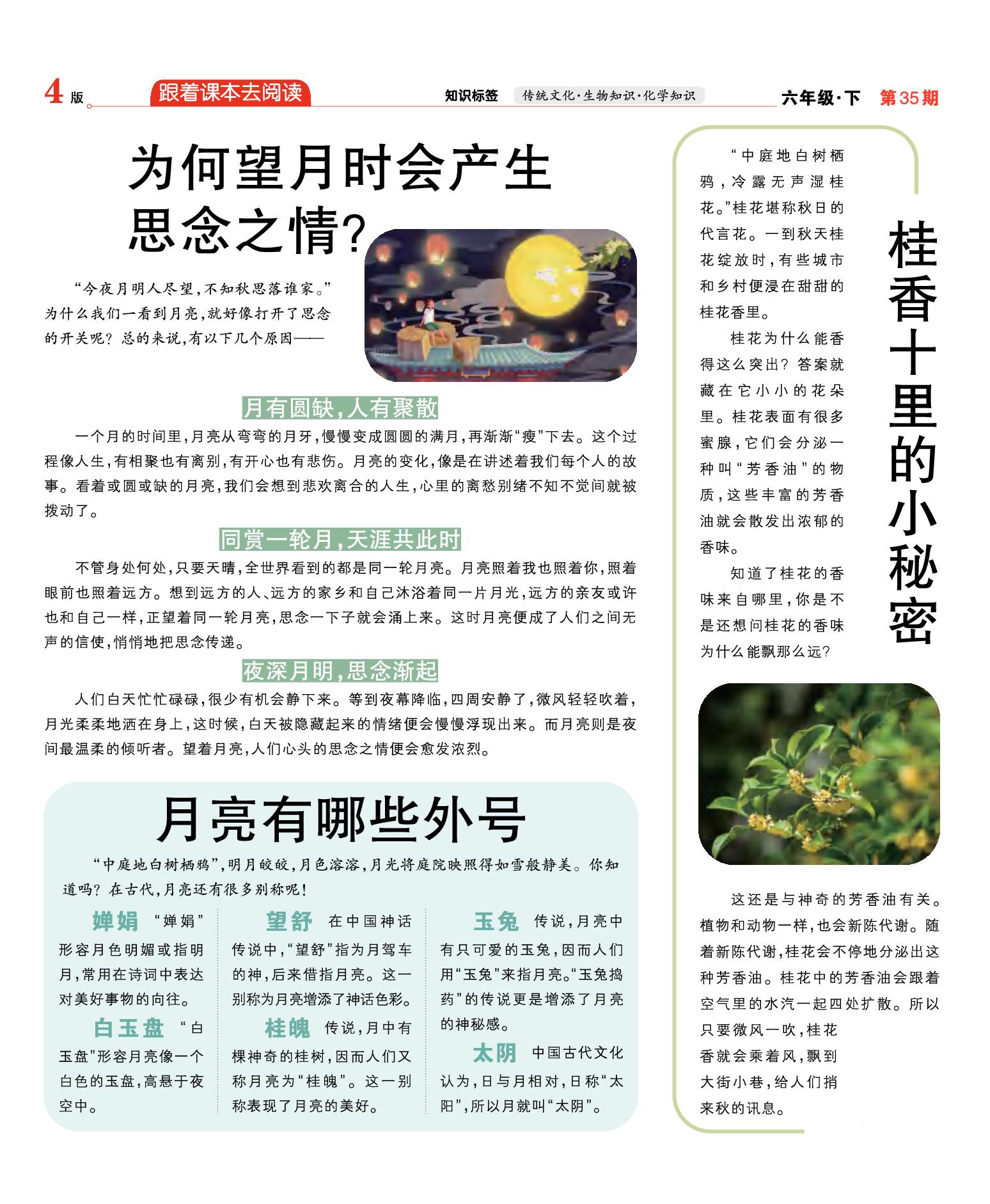 【大语文周末小报】2025-2026学年六年级下册语文（第35期）