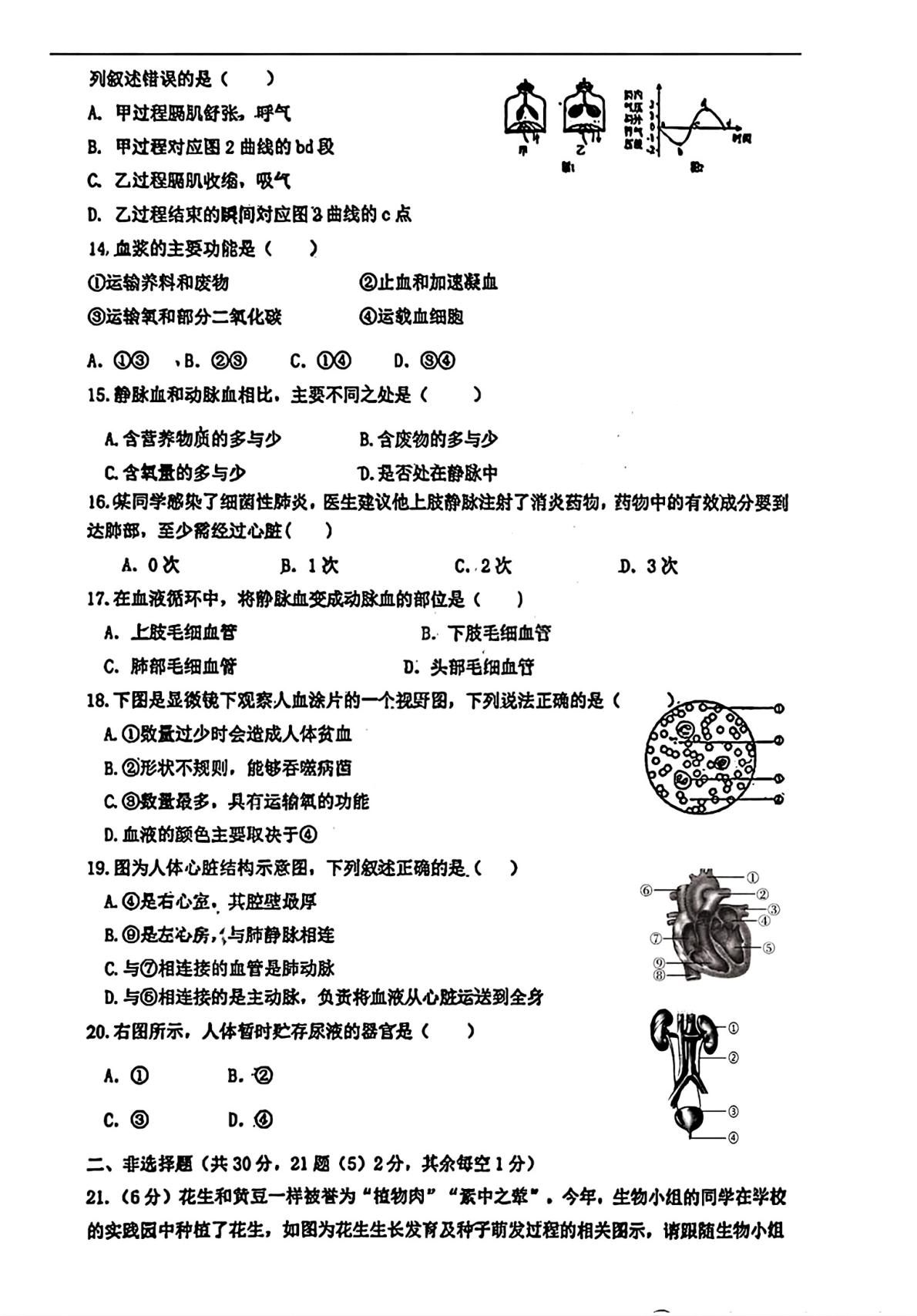 吉林吉林市第九中学2024-2025学年度七年级下学期期末阶段性教学质量检测生物试卷