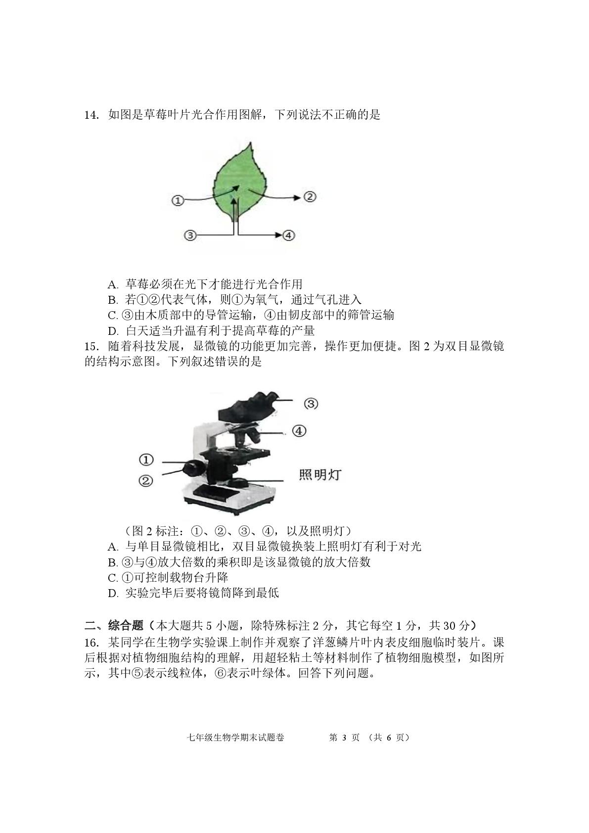 广西河池市天峨县2025年秋季学期学科素养期末检测七年级生物试题