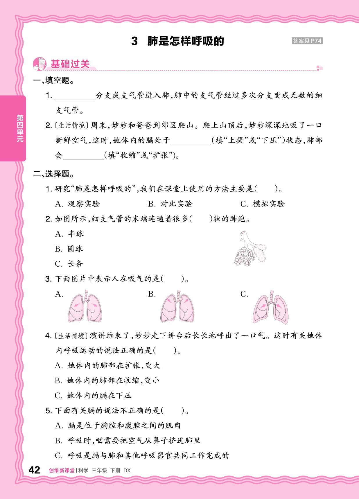 第四单元 同步练习-【王朝霞创维新课堂】2025-2026学年新教材三年级下册科学同步优化训练(大象版2024)