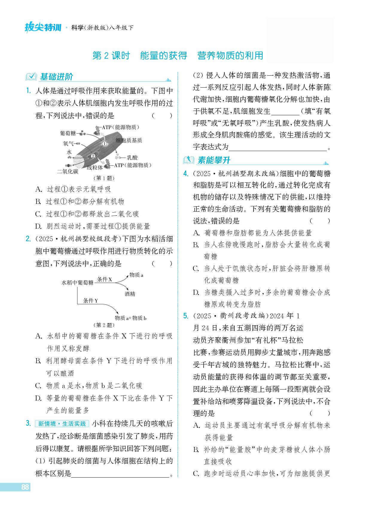 第4章 第4节 呼吸与排泄-【拔尖特训】2025-2026学年八年级下册科学（浙教版·新教材）