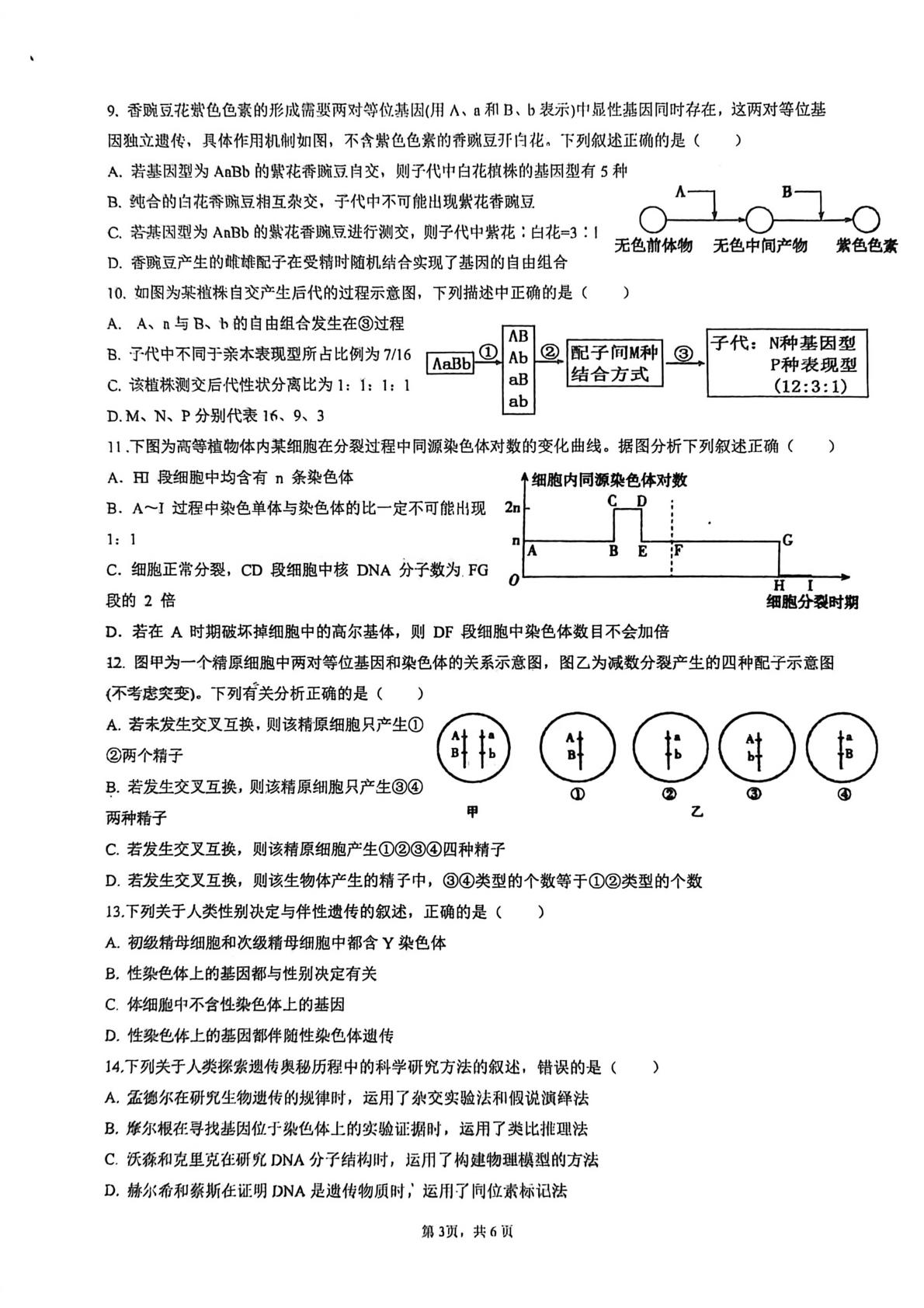 河南开封高级中学2028届高一年级下学期学情调研生物学科试题