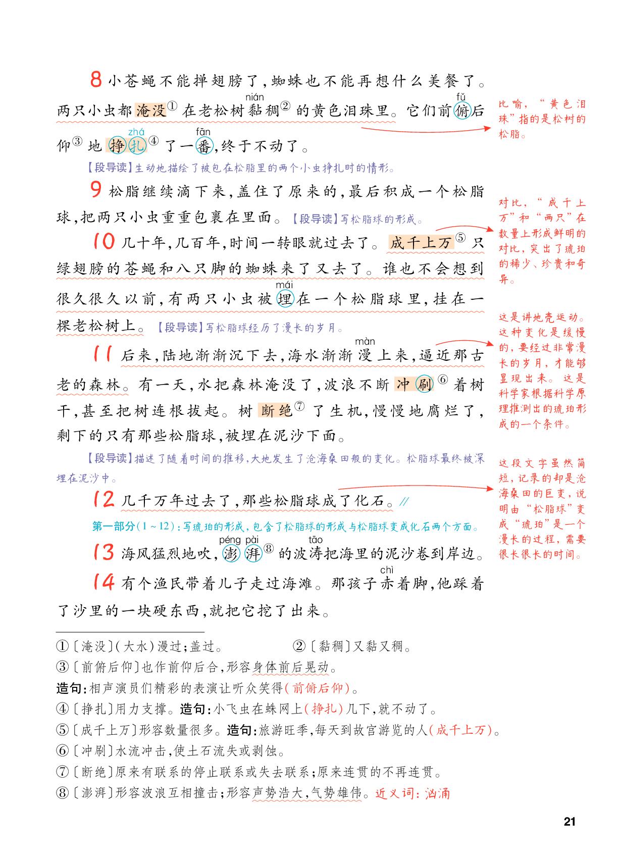 5 琥珀-【跳跳熊·预习教练】2025-2026学年四年级下册语文课堂笔记（统编版）