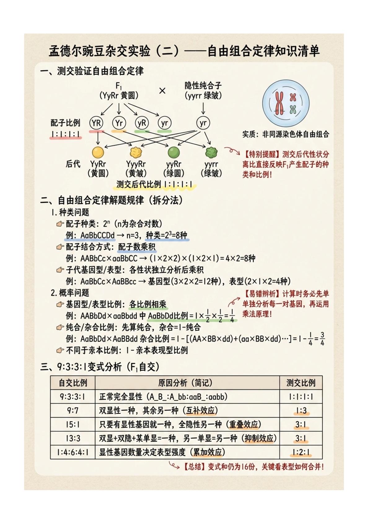 高一生物下学期期中速记清单（图文版知识清单）