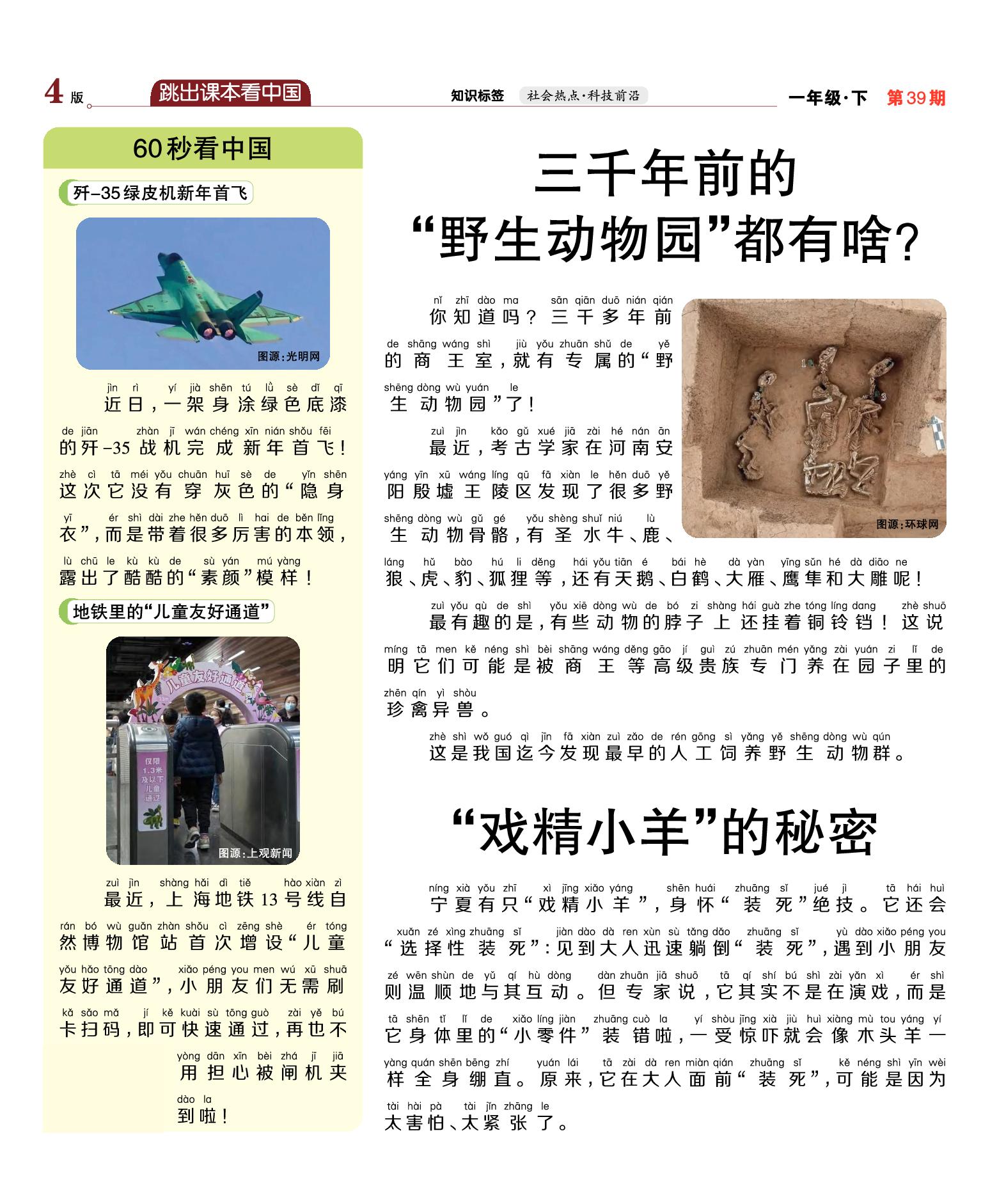 【大语文周末小报】2025-2026学年一年级下册语文（第39期）