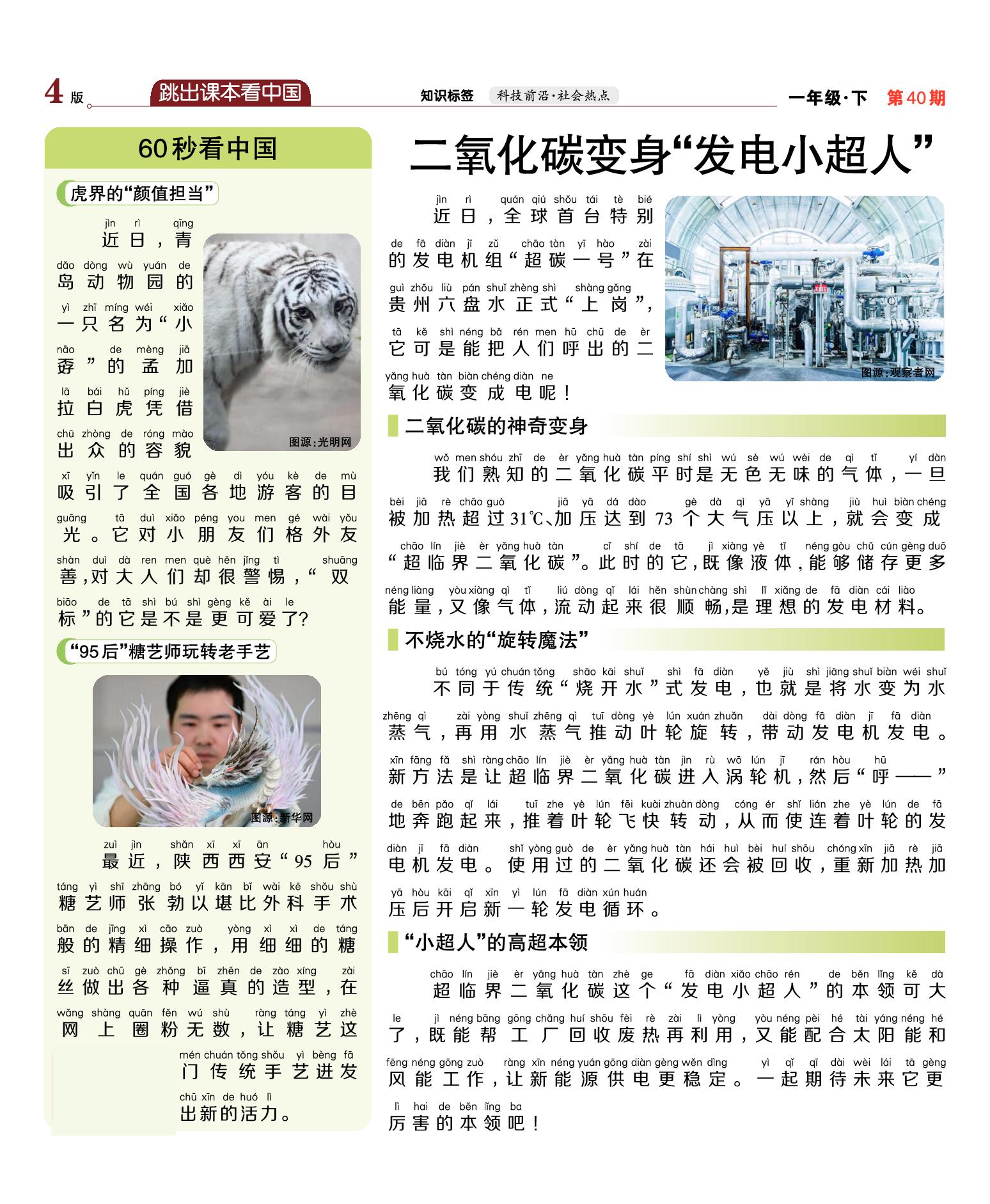 【大语文周末小报】2025-2026学年一年级下册语文（第40期）