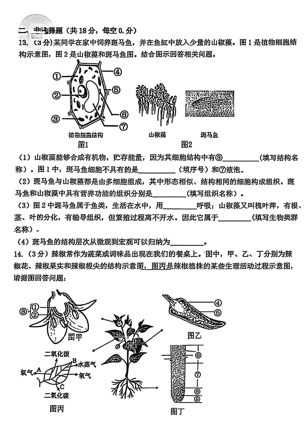 辽宁沈阳南昌中学2025--2026学年八年级下学期5月学情自测生物试卷
