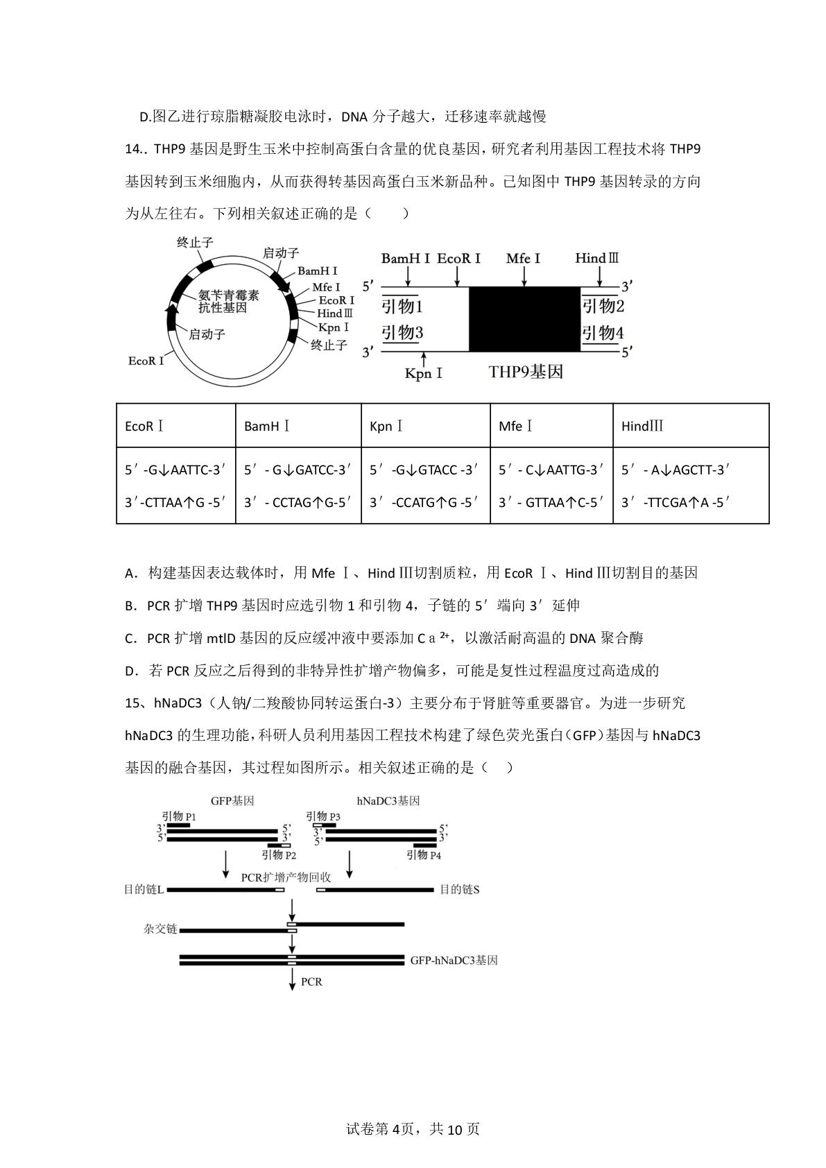 辽宁省鞍山市重点高中2025-2026学年高二下学期5月期中生物试题