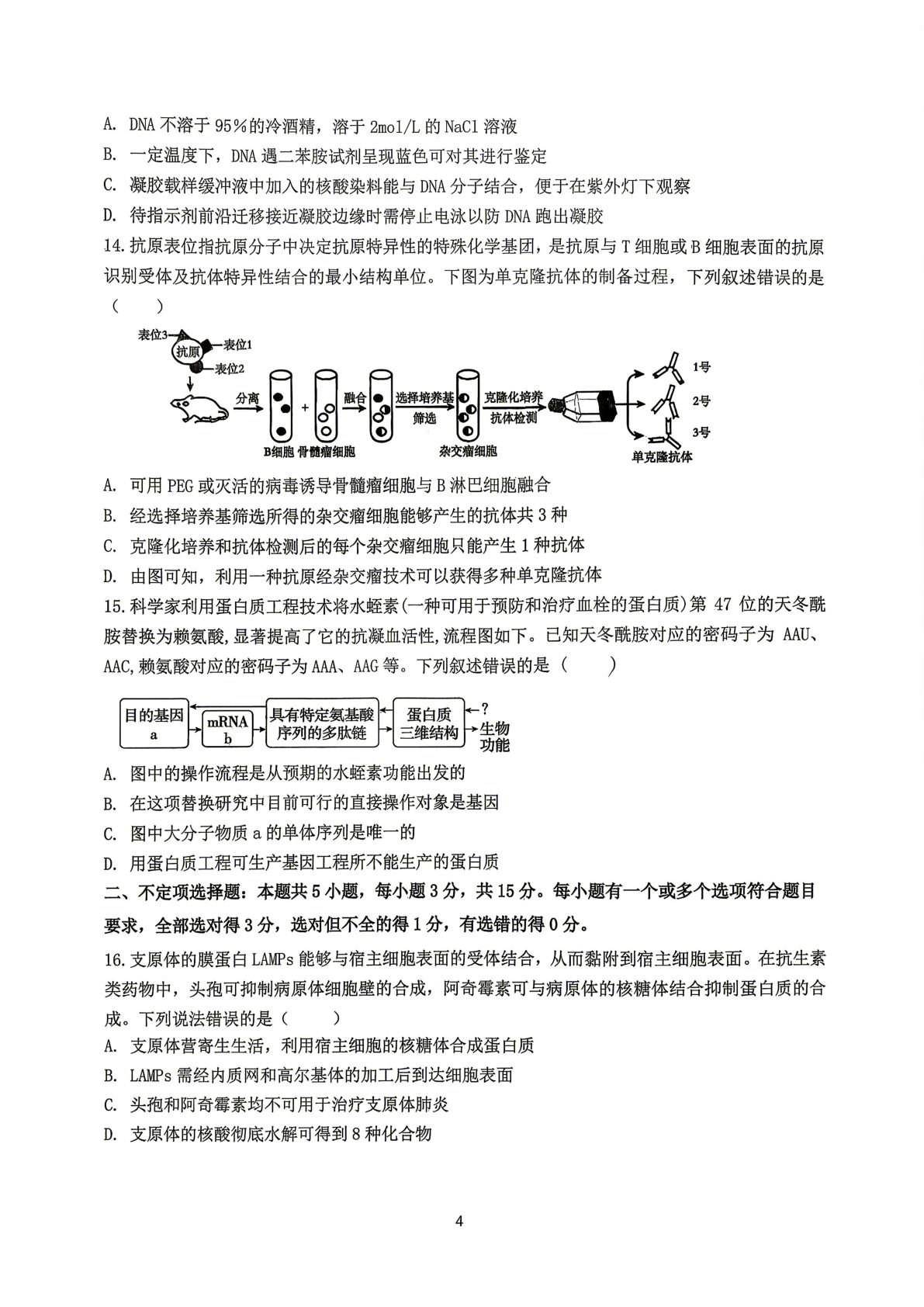 辽宁沈阳市回民中学2024级高二下学期期中考试 生物