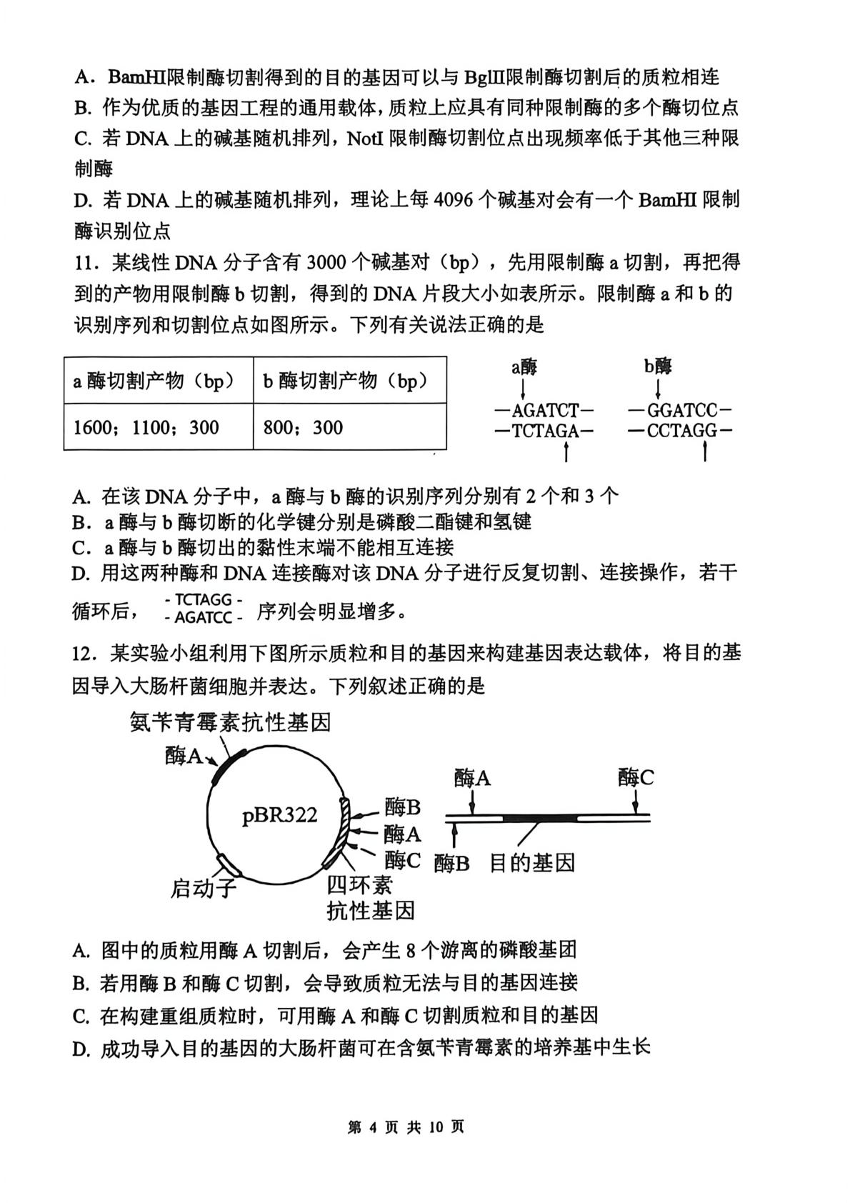 四川省泸州市泸县普通高中共同体2026年春期高二半期素养评价 生物学