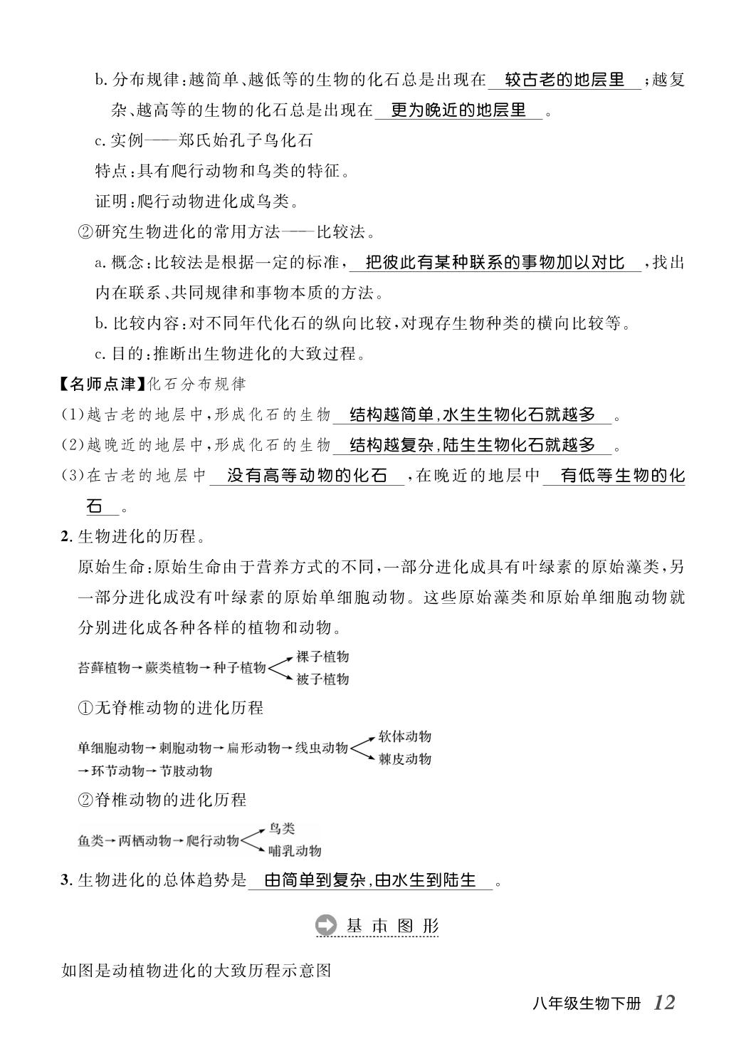 第3章 生物的进化&第4章 生物多样性及其保护（晨读手册）-【名师学案】2025-2026学年八年级下册生物分层进阶学习法（人教版·新教材）