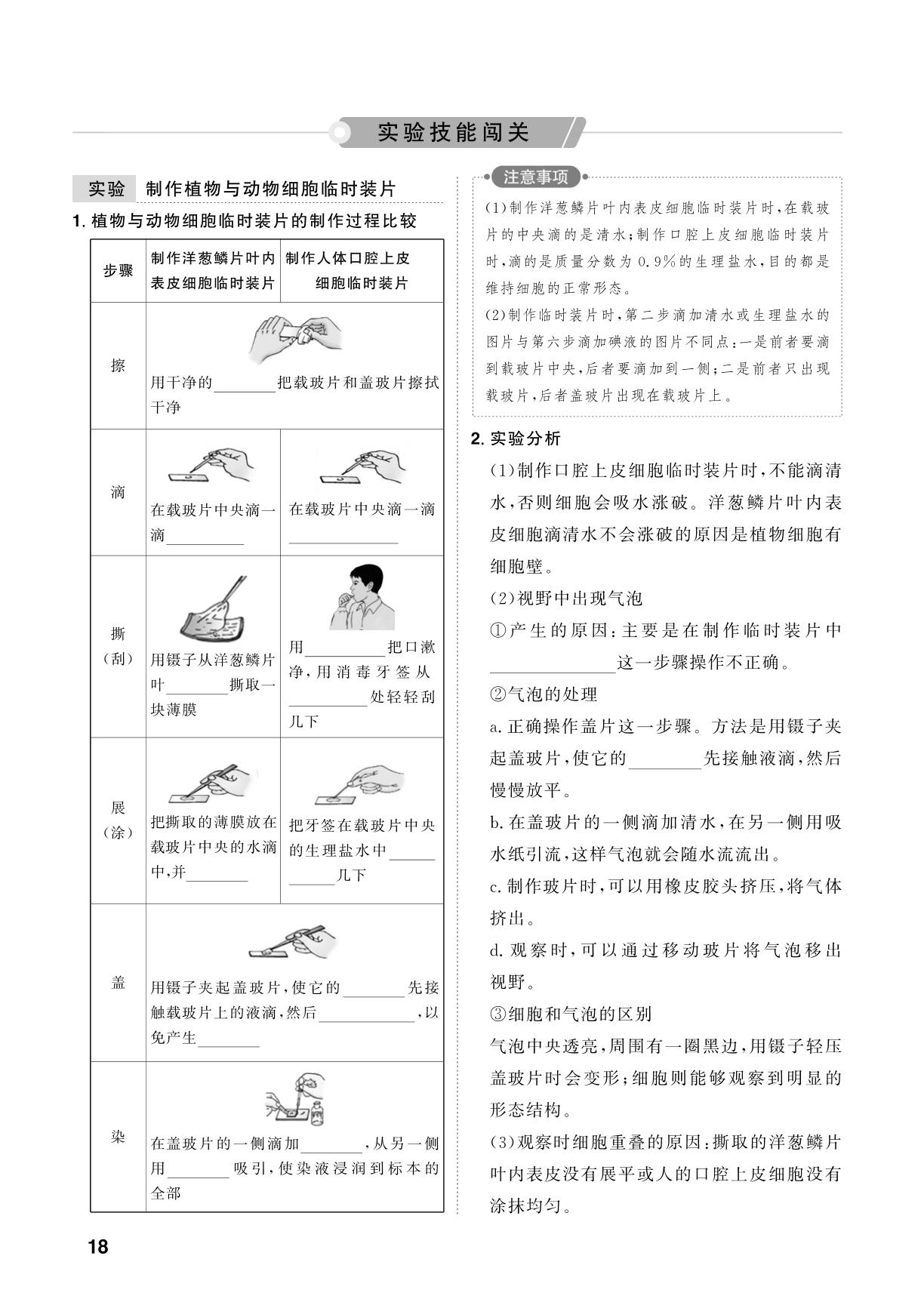 第2单元 第3课时 观察细胞的结构-【中考对策】2026年中考总复习生物（鲁科版 五四制）
