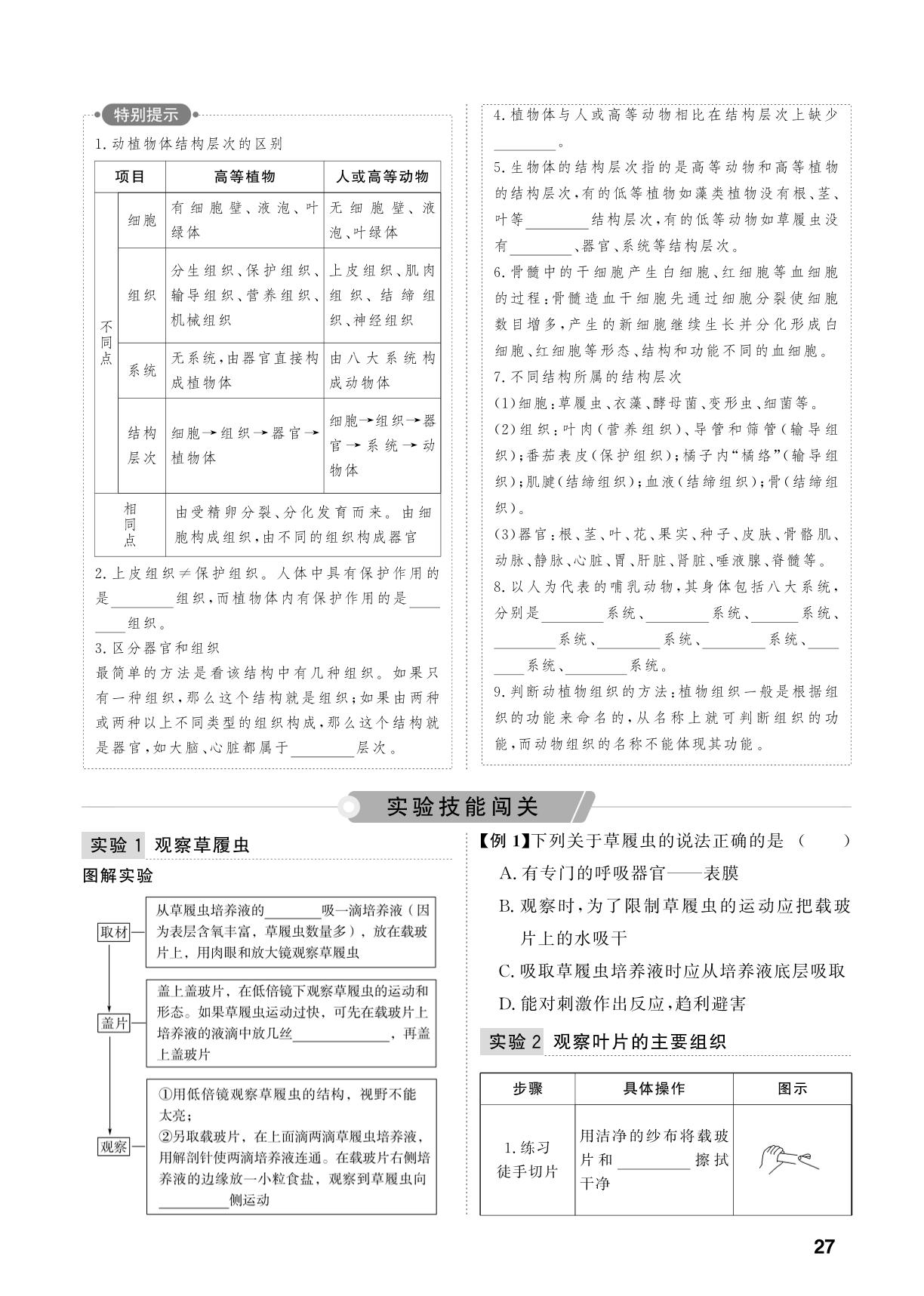 第2单元 第4课时 细胞是生命活动的基本单位和细胞怎样构成生物体-【中考对策】2026年中考总复习生物（鲁科版 五四制）