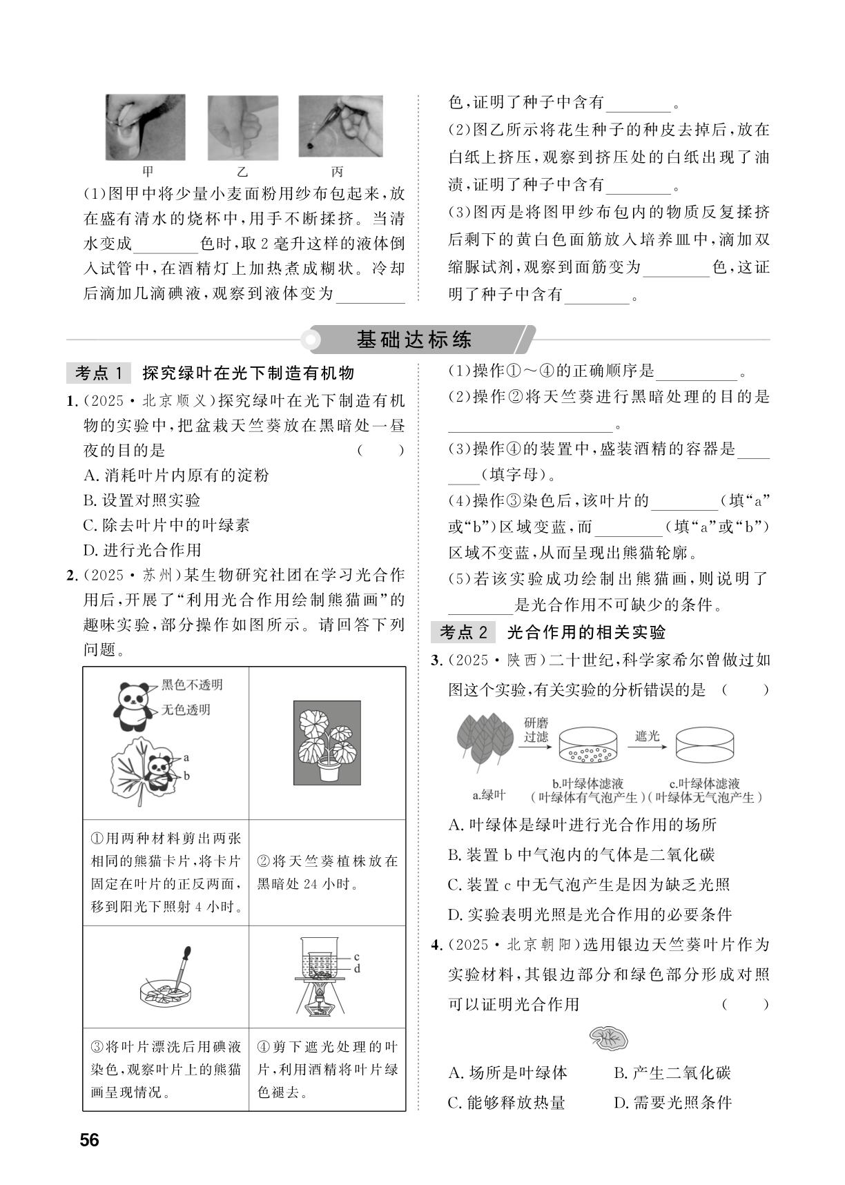 第3单元 第8课时 光合作用-【中考对策】2026年中考总复习生物（鲁科版 五四制）