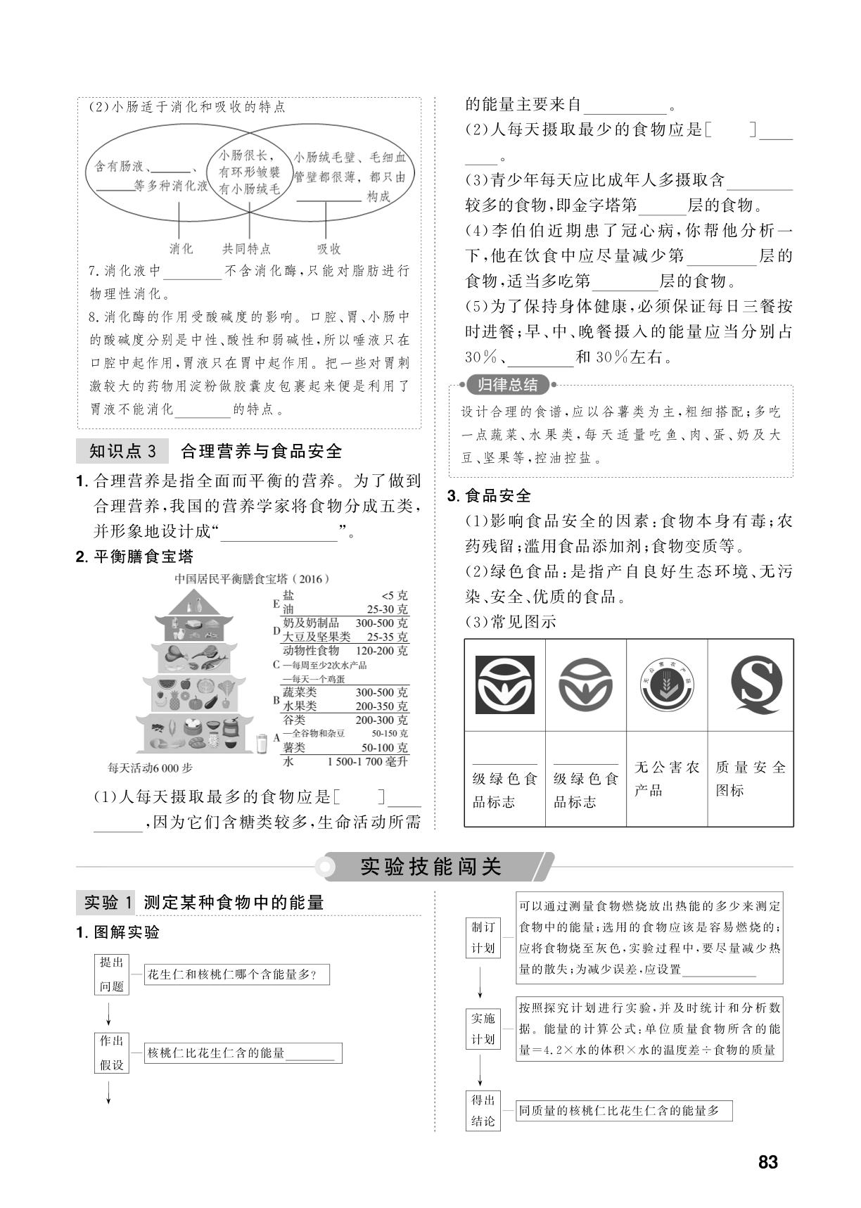 第4单元 第11课时 人体的营养-【中考对策】2026年中考总复习生物（鲁科版 五四制）