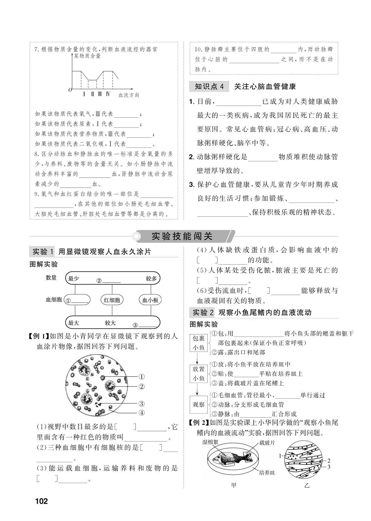 第4单元 第13课时 人体内物质的运输-【中考对策】2026年中考总复习生物（鲁科版 五四制）