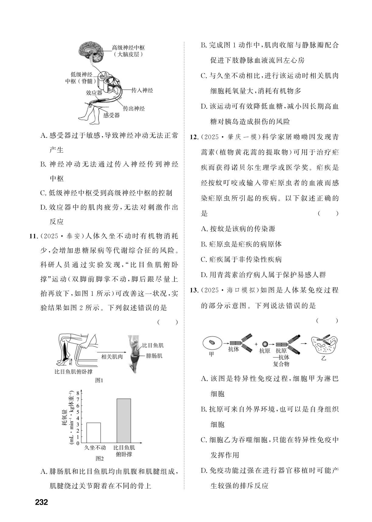 主题5 人体生理与健康-【中考对策】2026年中考总复习生物（鲁科版 五四制）