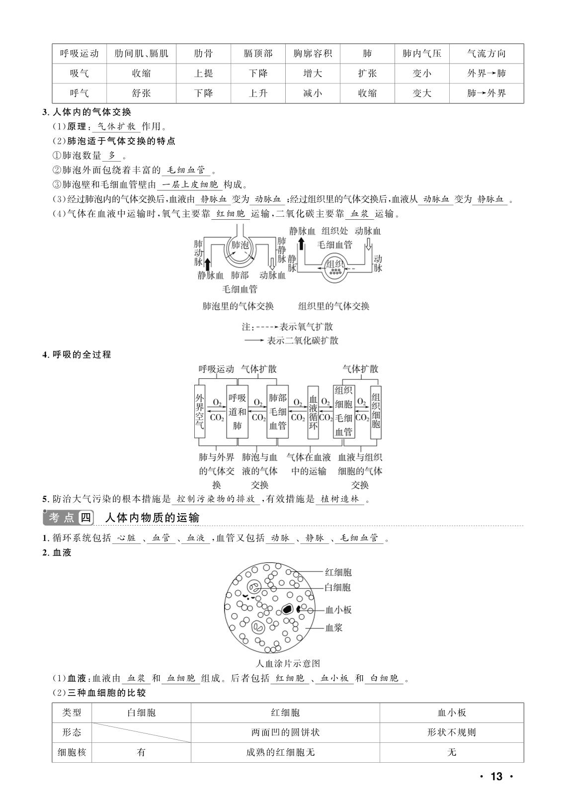 第4单元 生物圈中的人-【中考对策】2026年中考总复习生物核心知识手册（鲁科版 五四制）