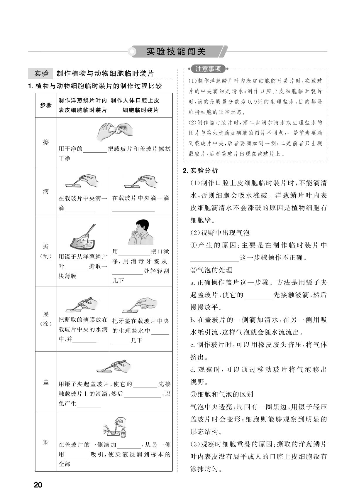 第2单元 第3课时 观察细胞的结构-【中考对策】2026年中考总复习生物（鲁科版 五四制）淄博专版