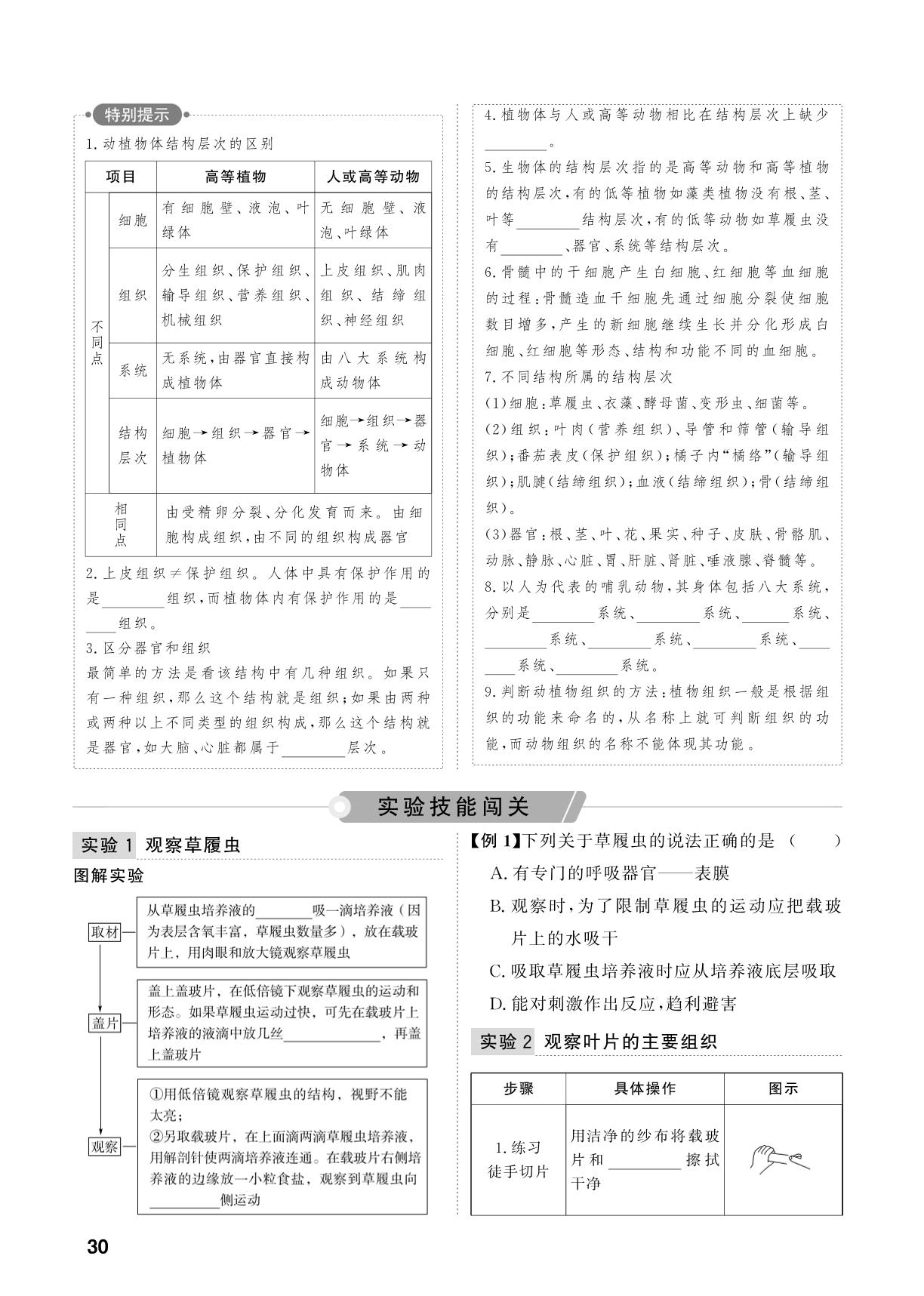 第2单元 第4课时 细胞是生命活动的基本单位和细胞怎样构成生物体-【中考对策】2026年中考总复习生物（鲁科版 五四制）淄博专版
