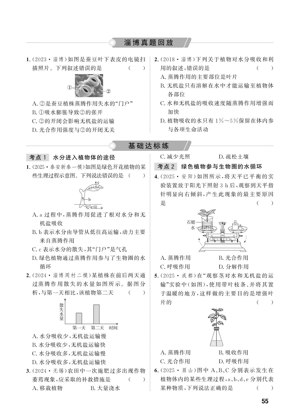 第3单元 第7课时 绿色植物与生物圈的水循环-【中考对策】2026年中考总复习生物（鲁科版 五四制）淄博专版