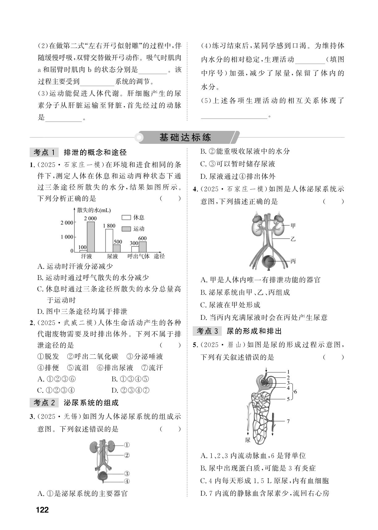 第4单元 第14课时 人体内废物的排出-【中考对策】2026年中考总复习生物（鲁科版 五四制）淄博专版