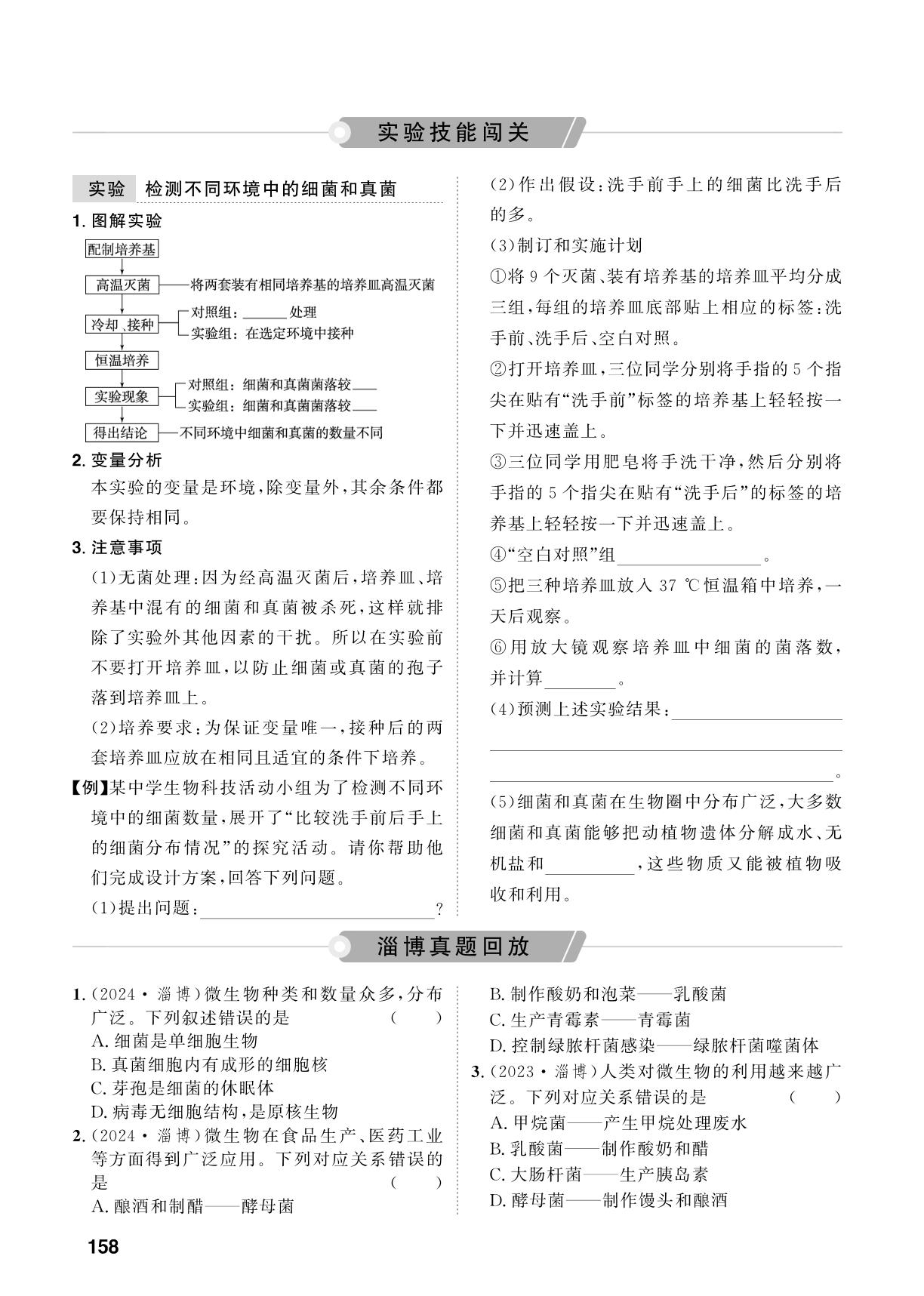 第6单元 生物圈中的微生物-【中考对策】2026年中考总复习生物（鲁科版 五四制）淄博专版