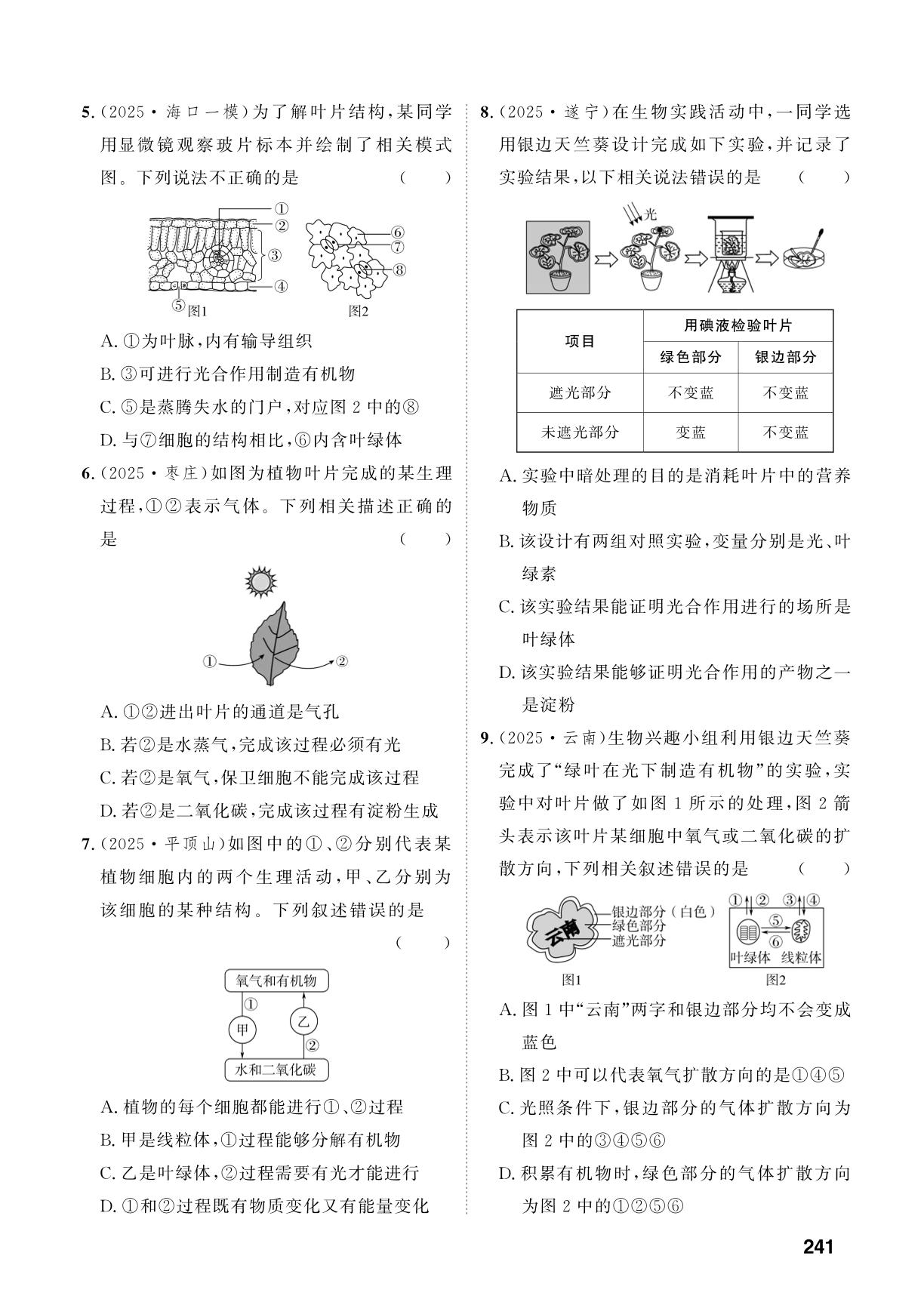 主题4 植物的生活-【中考对策】2026年中考总复习生物（鲁科版 五四制）淄博专版