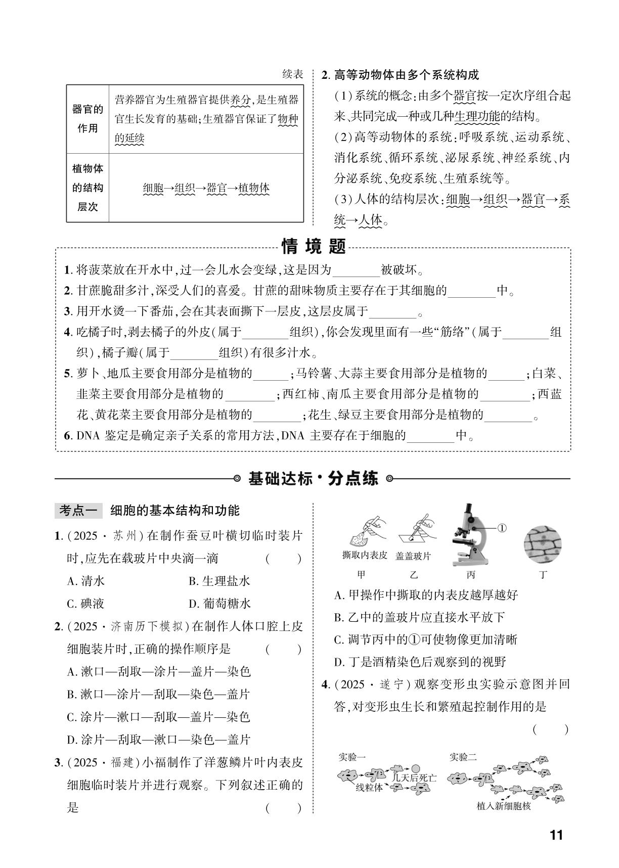 第1单元 第2章 生物体具有一定的结构层次-【中考对策】2026年中考总复习生物（济南版）