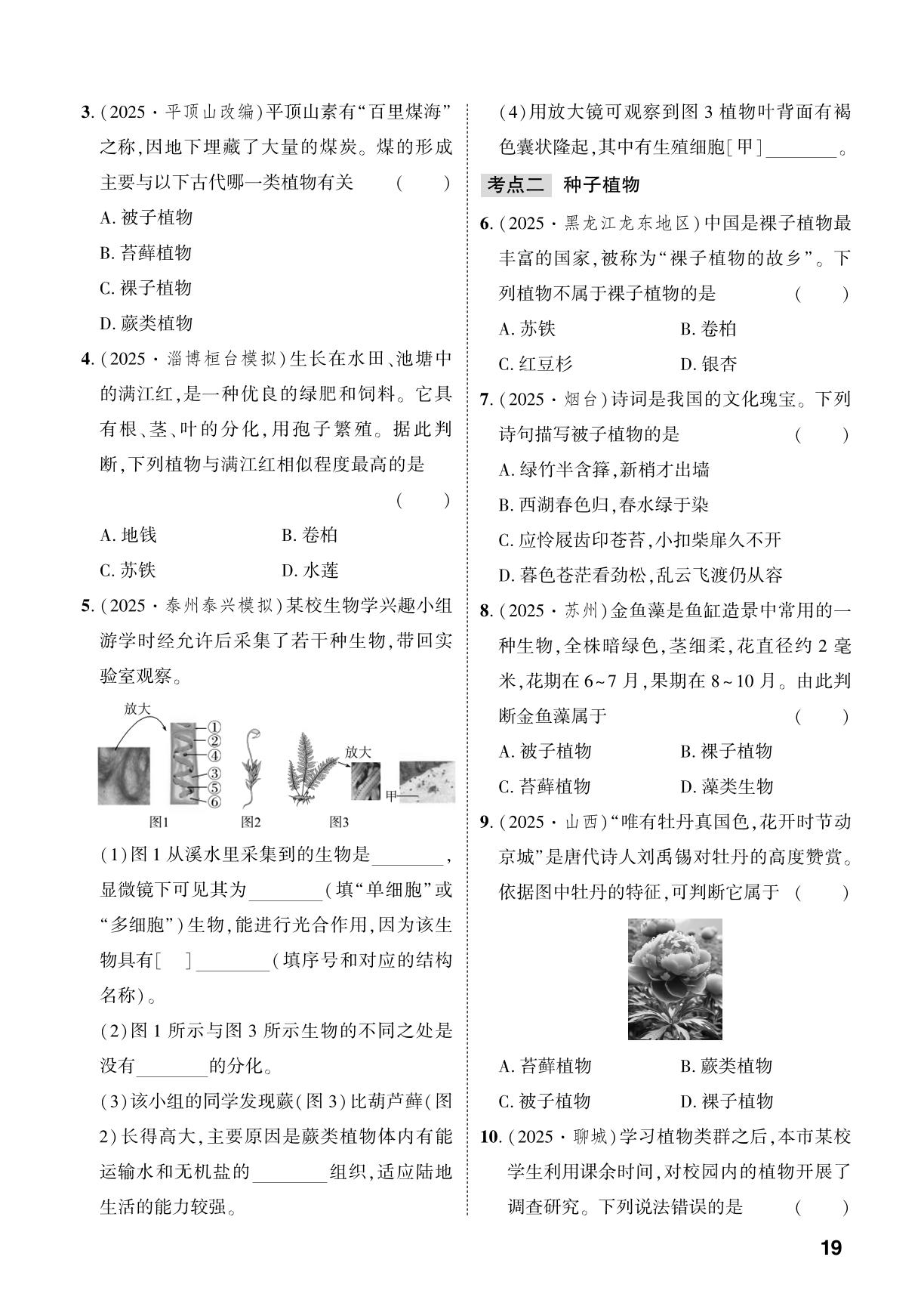 第2单元 第1章 藻类和植物都是能进行光合作用的生物-【中考对策】2026年中考总复习生物（济南版）