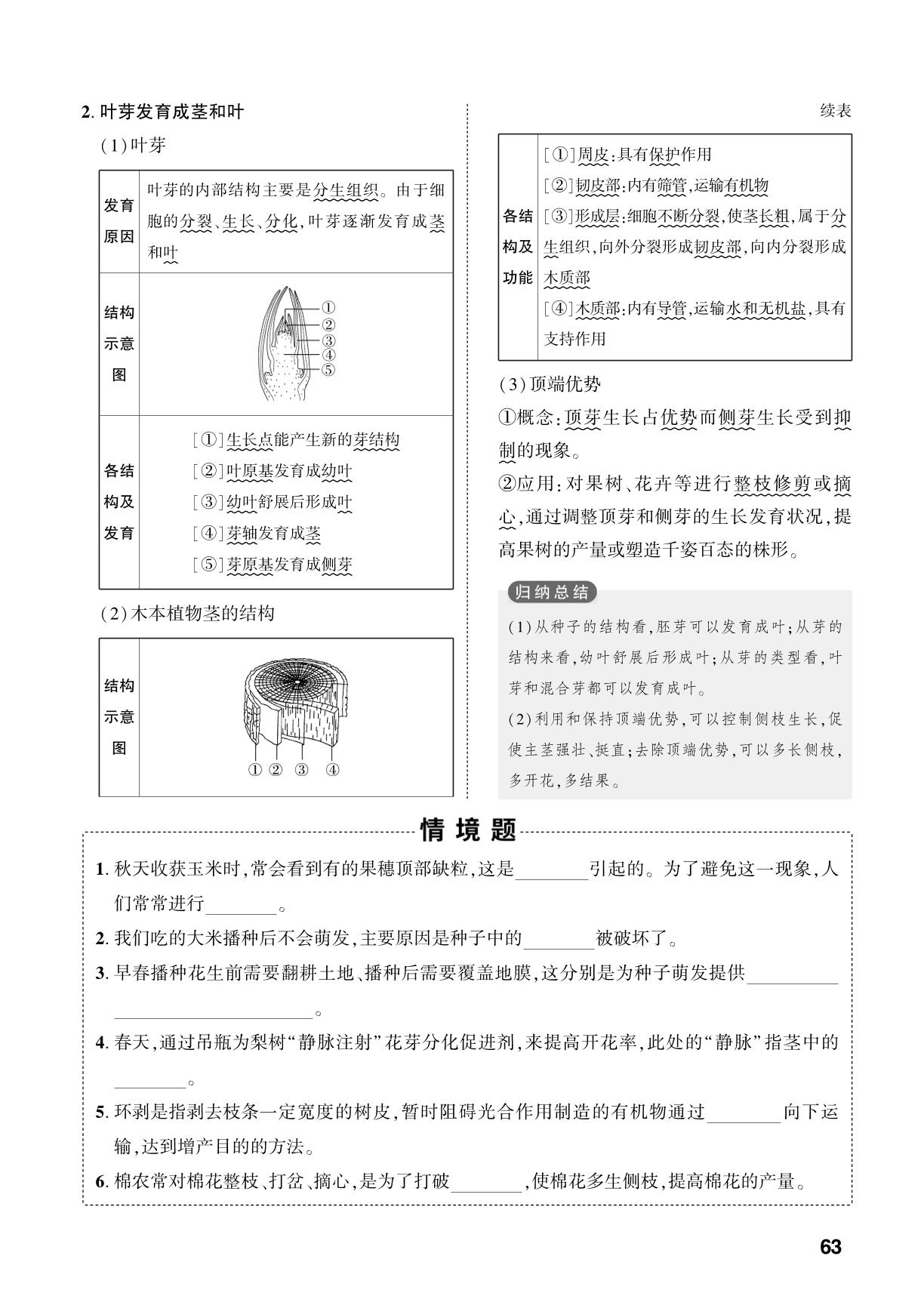 第3单元 第2章 开花结果是被子植物的显著特征-【中考对策】2026年中考总复习生物（济南版）