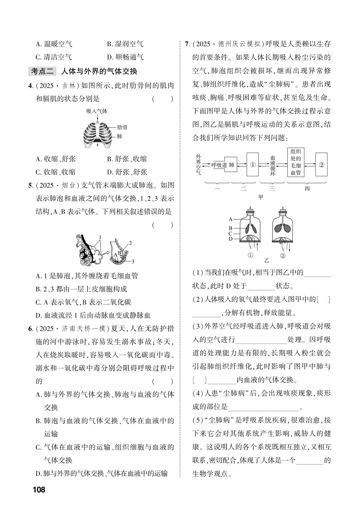 第5单元 第2章 人体需要空气-【中考对策】2026年中考总复习生物（济南版）