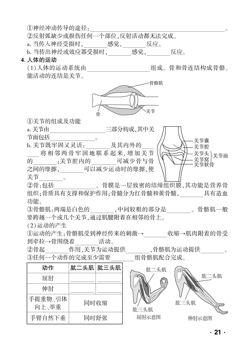 第6单元 人体生命活动的调节-【中考对策】2026年中考总复习生物核心知识手册（济南版）