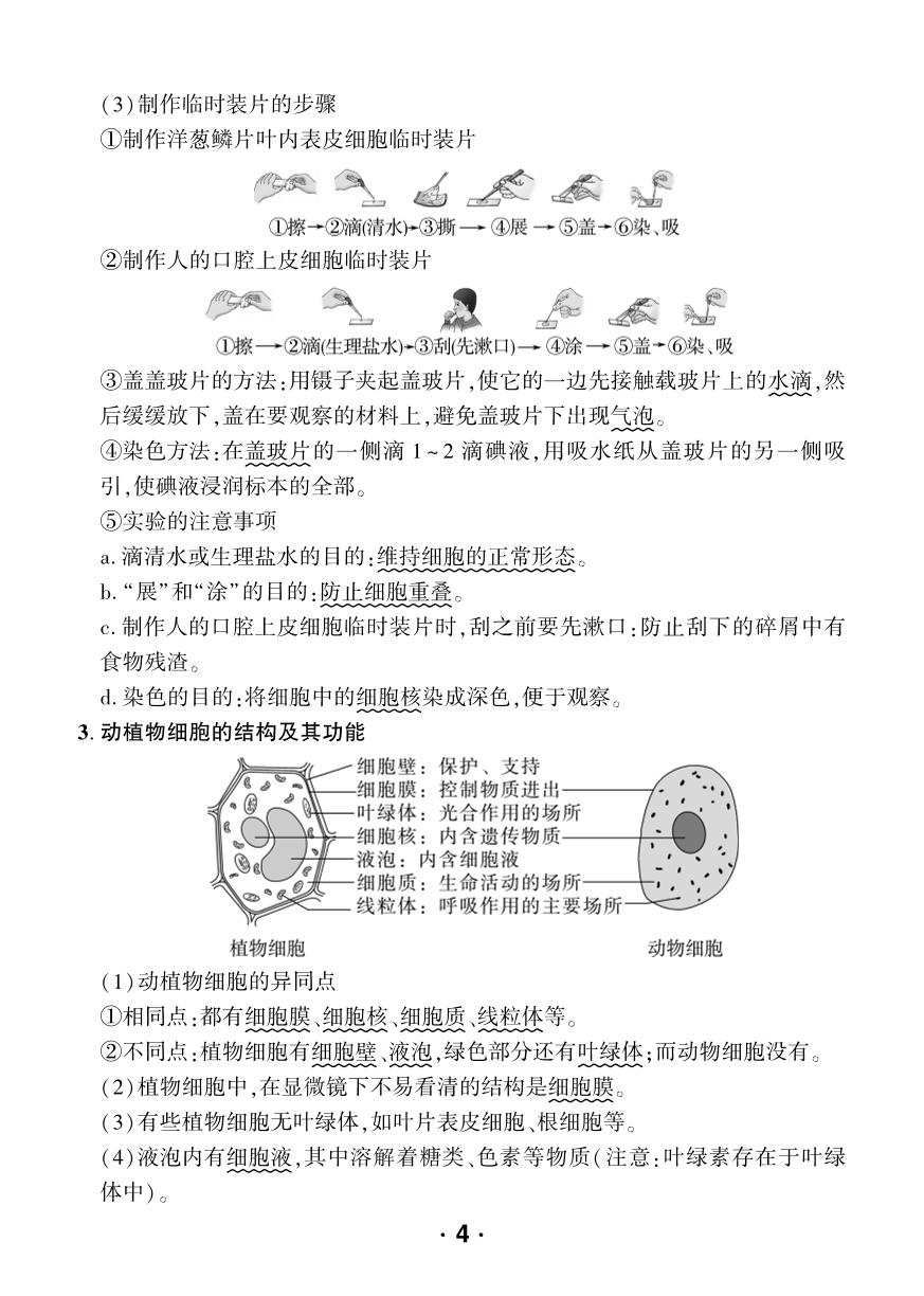 第1单元 生物和细胞-【中考对策】2026年中考总复习生物核心知识手册（人教版）