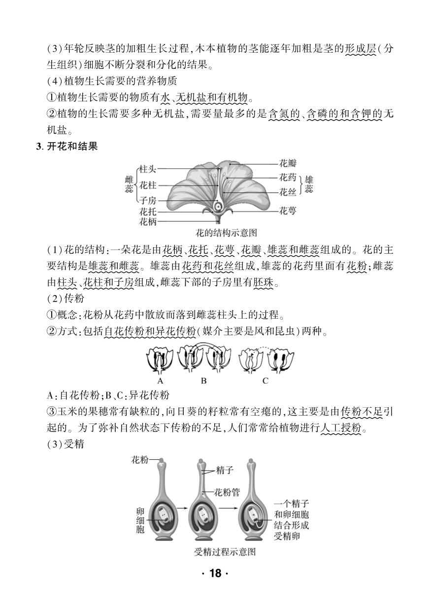 第3单元 植物的生活-【中考对策】2026年中考总复习生物核心知识手册（人教版）
