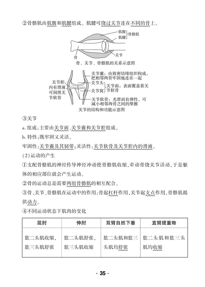 第4单元 人体生理与健康(2)-【中考对策】2026年中考总复习生物核心知识手册（人教版）