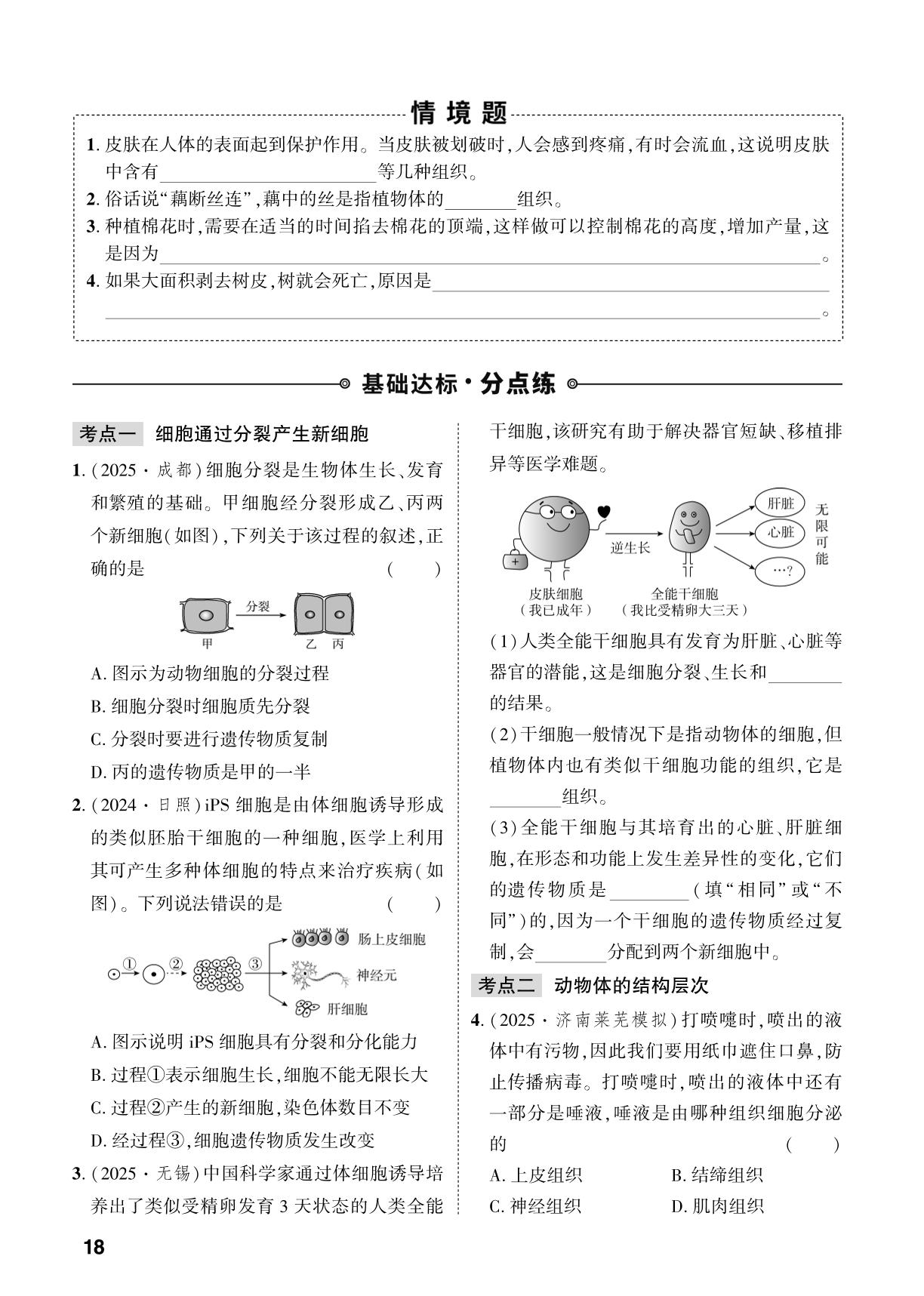 第1单元 第3章 从细胞到生物体-【中考对策】2026年中考总复习生物（人教版）