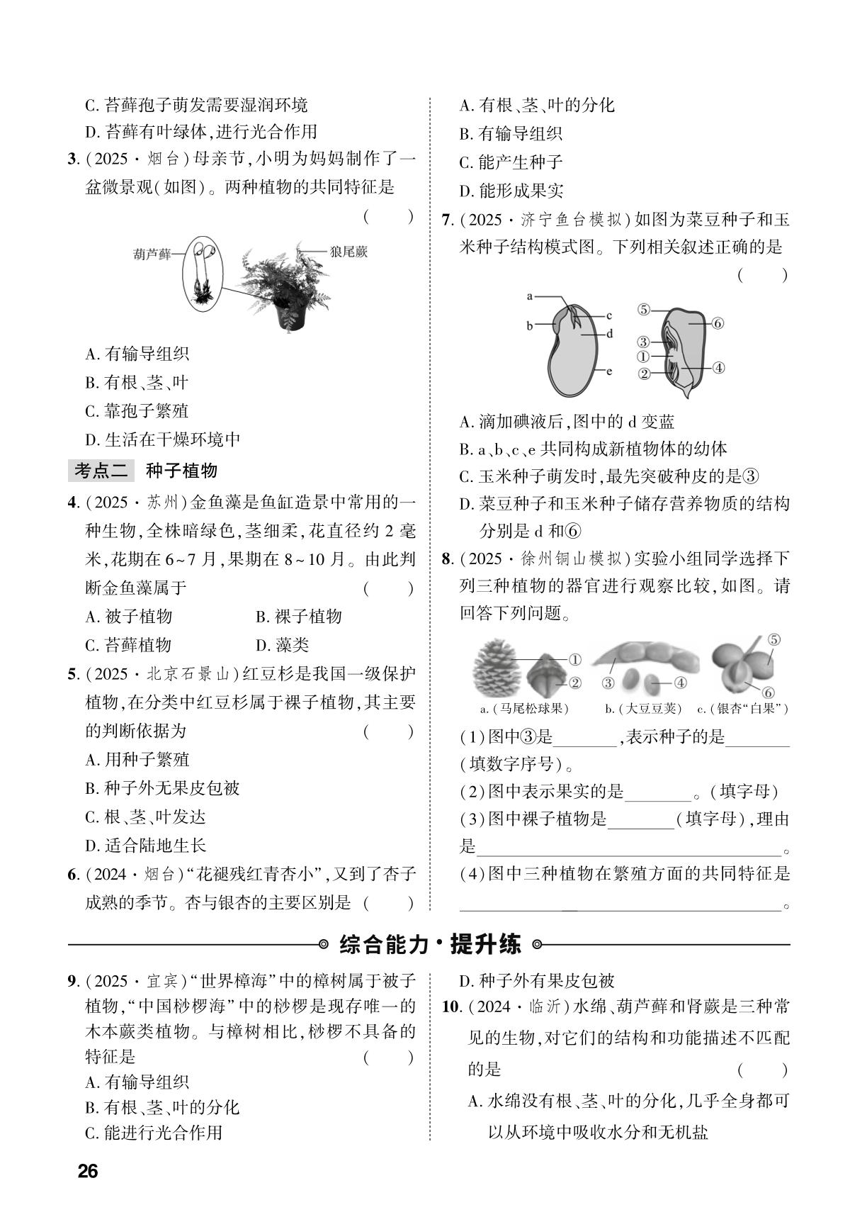 第2单元 第1章 藻类与植物的类群-【中考对策】2026年中考总复习生物（人教版）