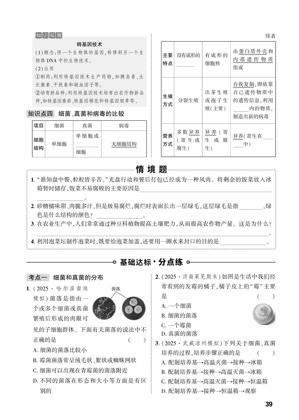 第2单元 第3章 微生物-【中考对策】2026年中考总复习生物（人教版）